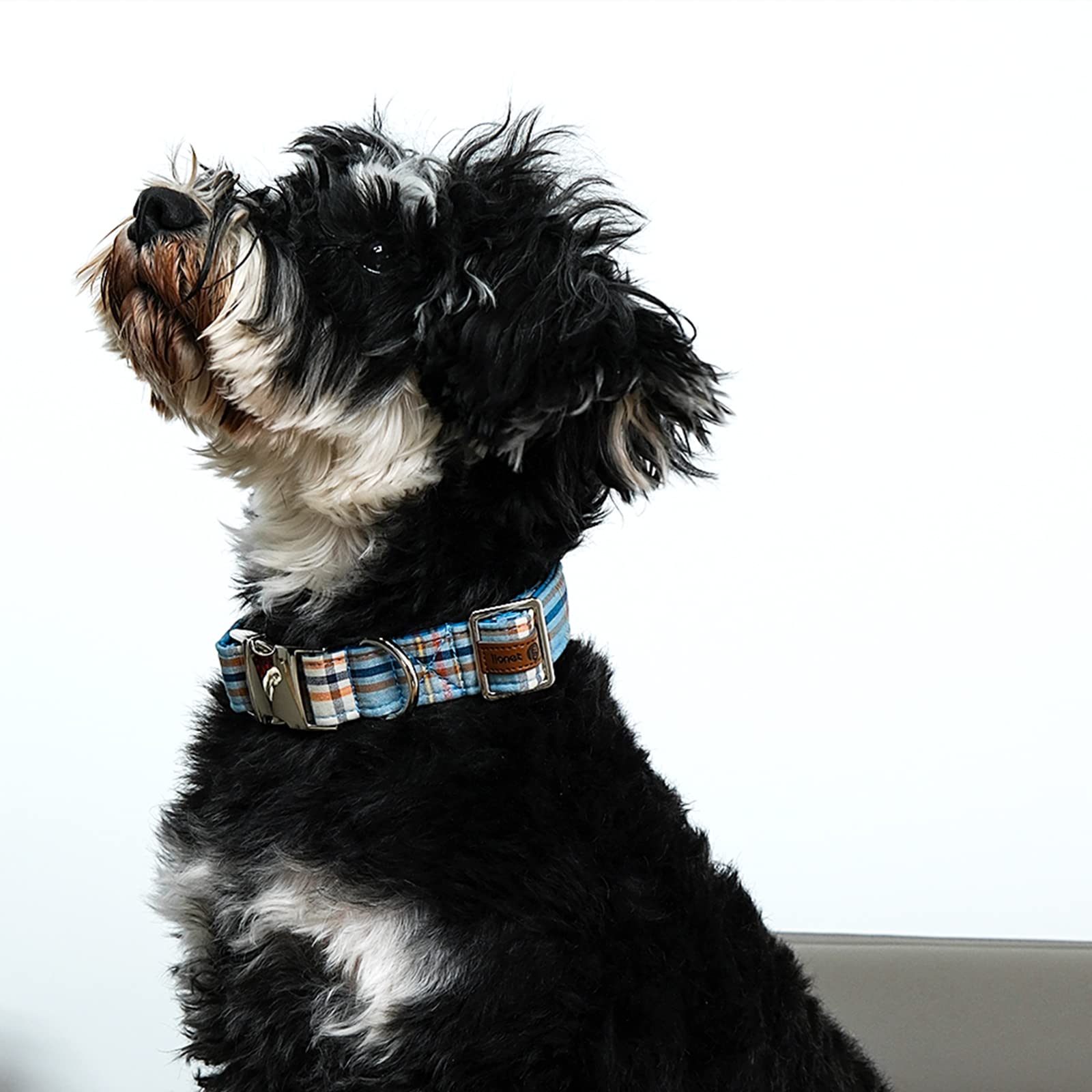 Lionet Paws Boy Dog Collar, Comfortable Adjustable Cute Blue Plaid Collar With Metal Buckle For Male Dogs, Small, Neck 10-16 Inc