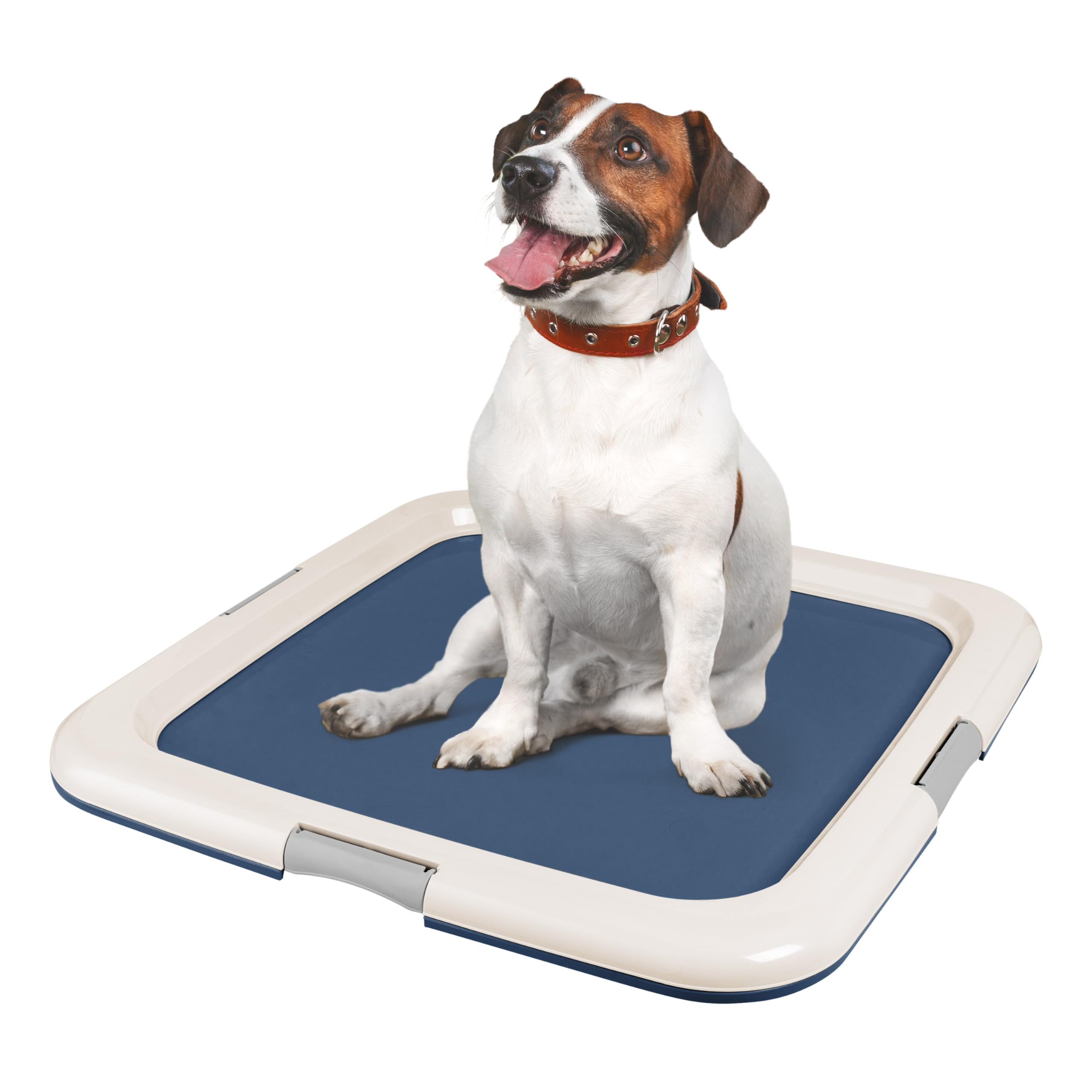 IRIS USA Pee Pad Holder - For Potty Training Regular Sized Dog & Puppy Pee Pads, Secured Latches, Non-Skid Feet, Leak Protection