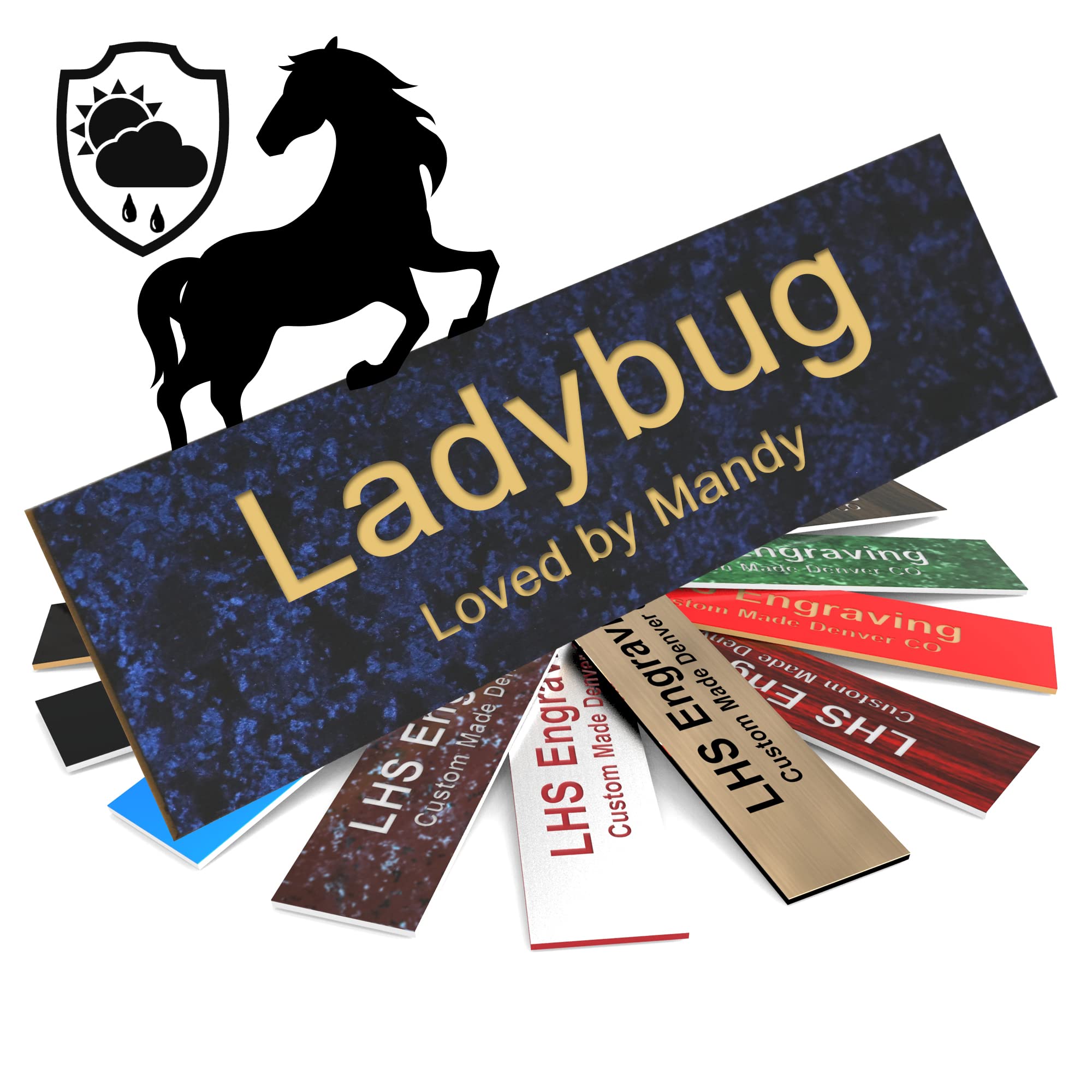 Lhs | Horse Stall Name Plate, 2X12 Personalized Stall Signs, Uv Protected, All Weather Adhesive, Hanging, Mounting Or Other, Cel