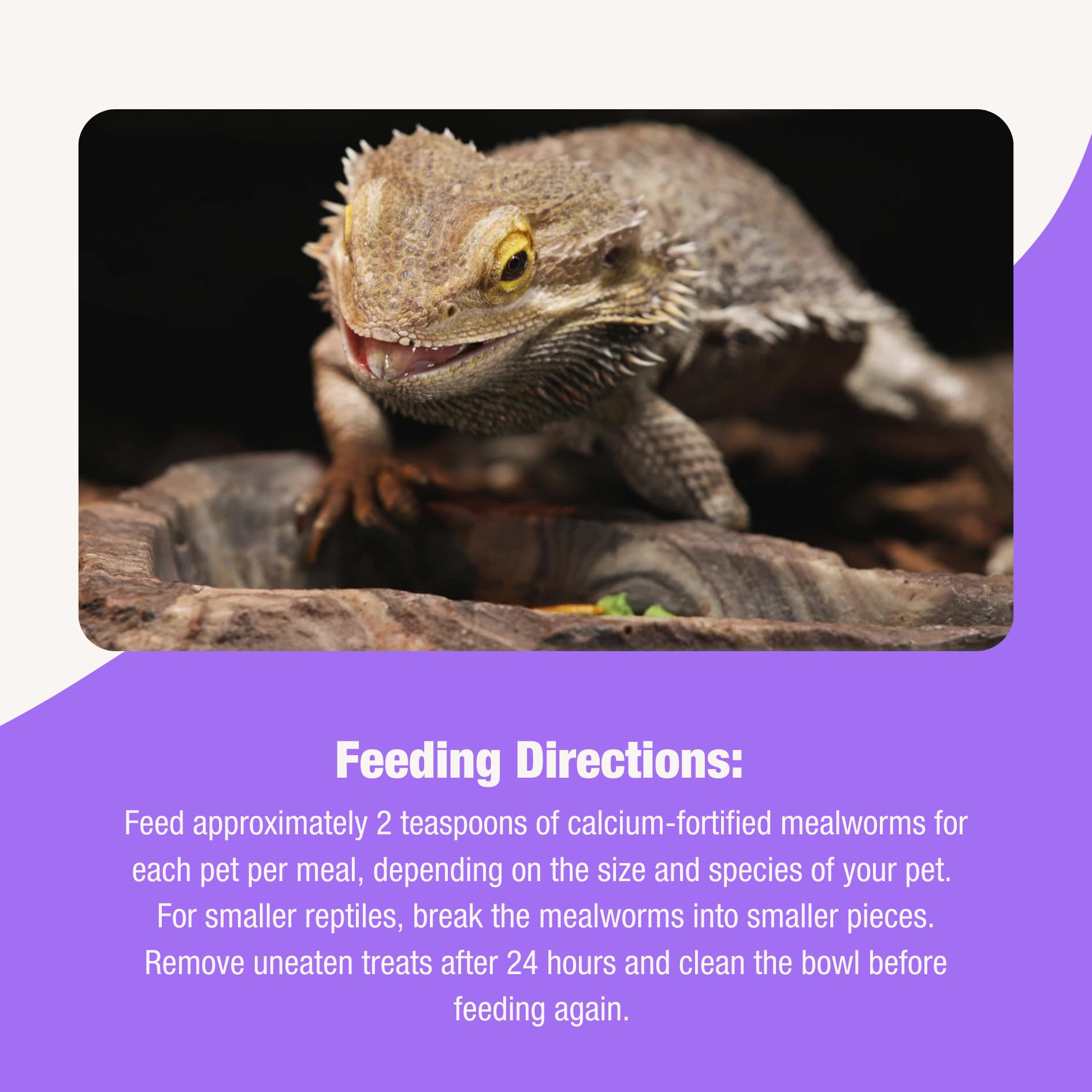 Flukers Grub Bag Calcium Fortified Mealworm Treats for Reptiles