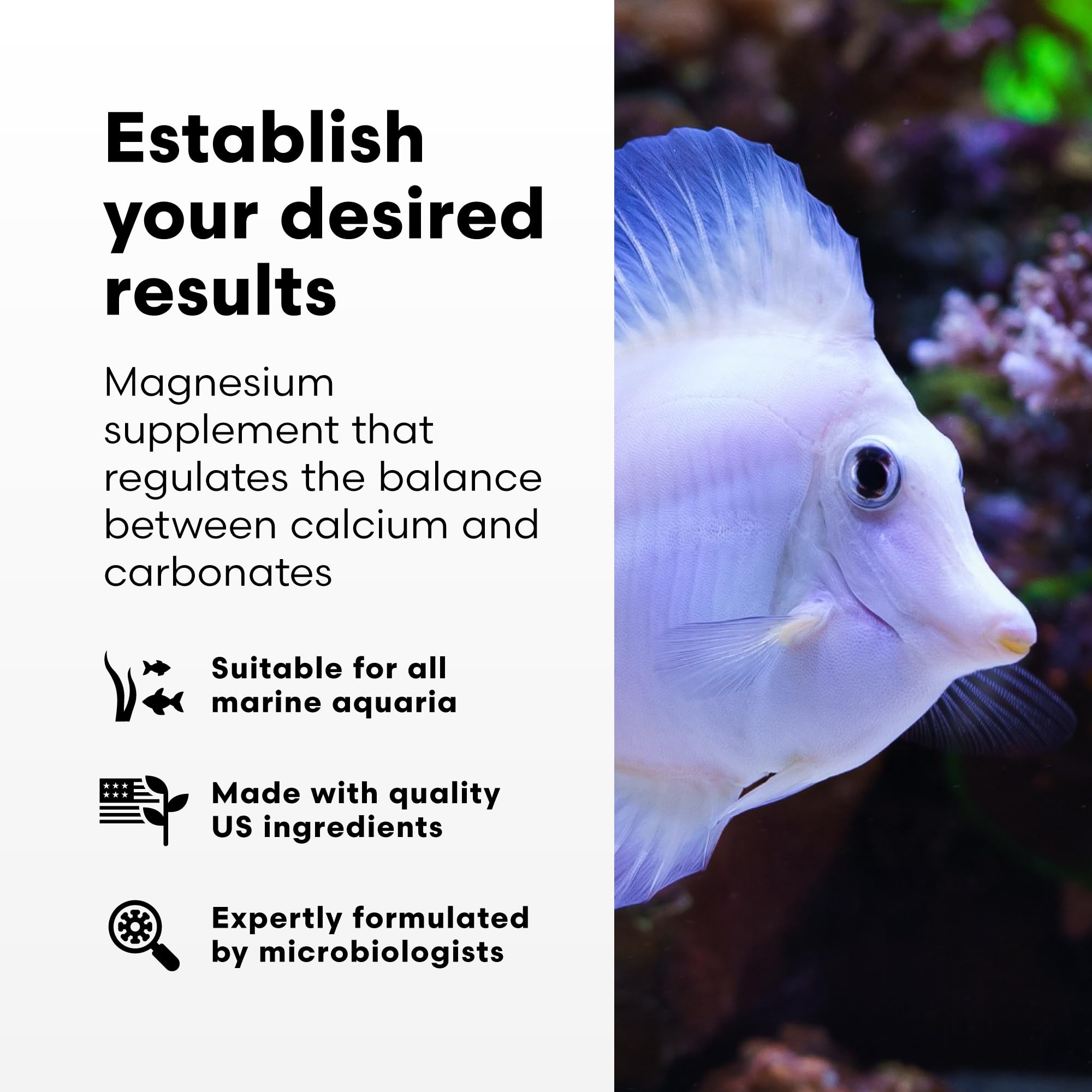 Brightwell Aquatics Magnesion Liquid Salt Water Conditioner - Concentrated Magnesium Supplement For Reef and Marine Aquariums, 8