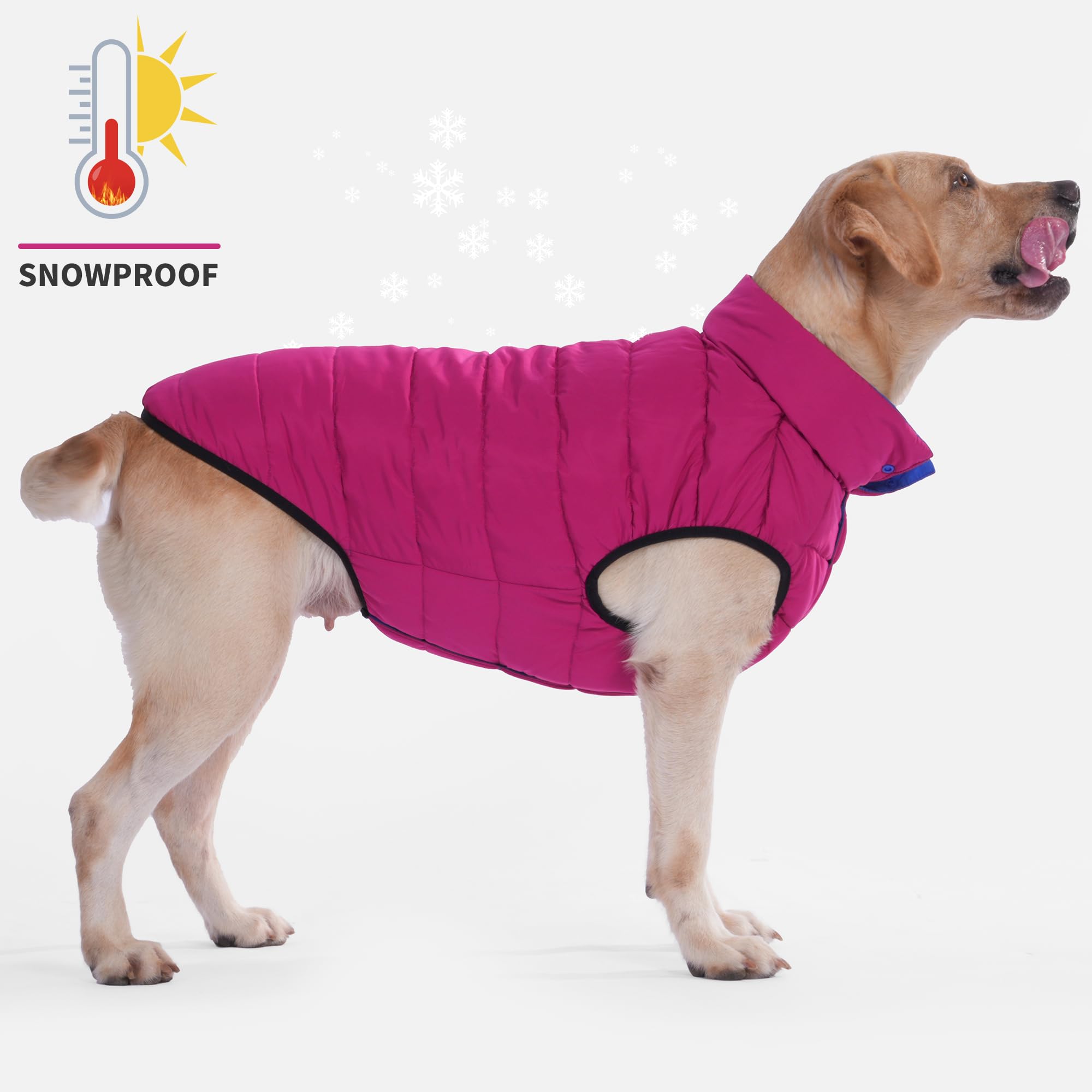 Lovinpet Dog Winter Jacket - Reversible Medium & Large Down Coat, Snap Button Down Jacket, Windproof, Snowproof & Waterproof, Du