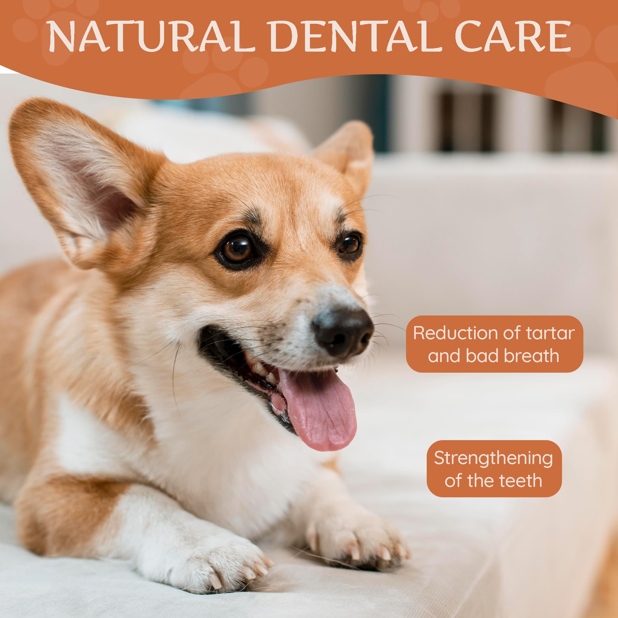 Wildfang Natural Yak Chews for Dogs, Hard Yak Cheese Dog Chews from Cow Milk - 1 Pack Cheese Yak Chews for Large Dogs & Small Do