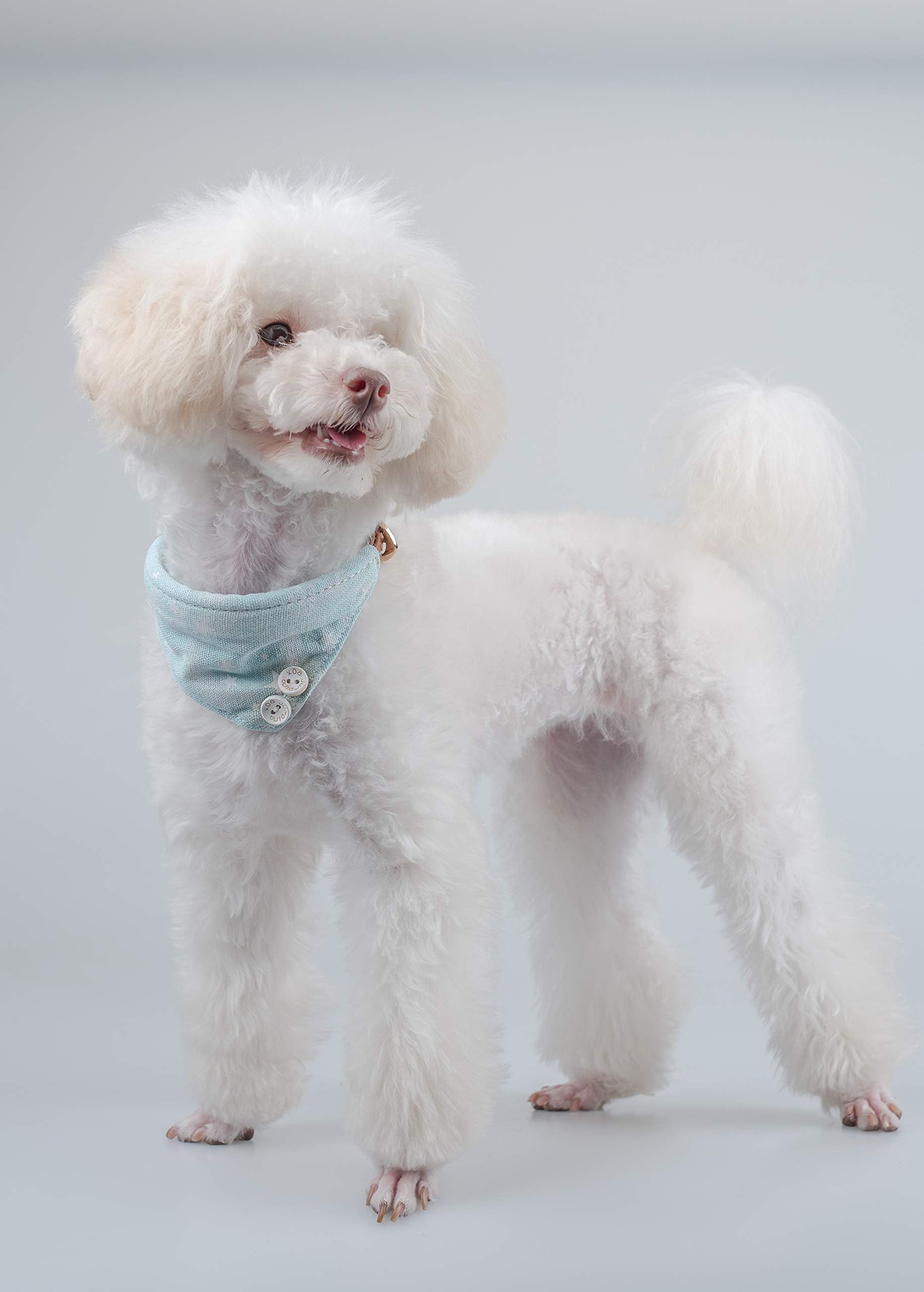 Gyapet Small Dog Collar Puppy Cat Tiny Pet Bow Tie & Bandana 2Pcs Set Pu Leather Canvas Scarf Durable Blue Stars