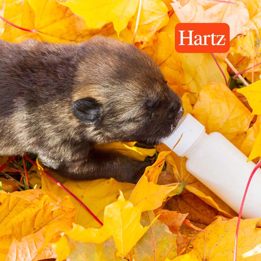 Hartz Pet Nursing Bottle For Newborn Animals