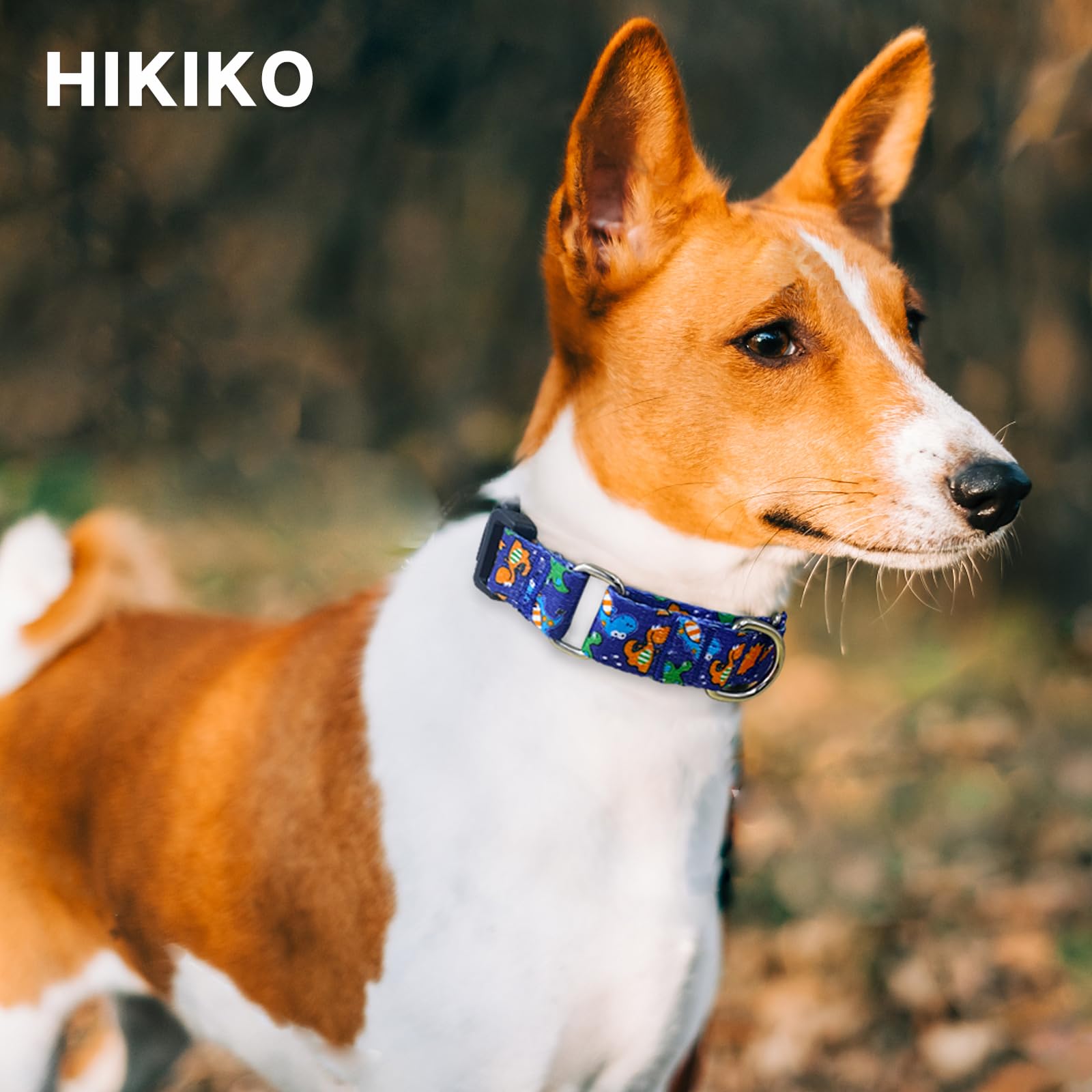 Hikiko Martingale Collar For Dogs Cute Dinosaur Dog Collar For Small Medium Large Dogs Comfortable Nylon Funny Dog Collars (Dino
