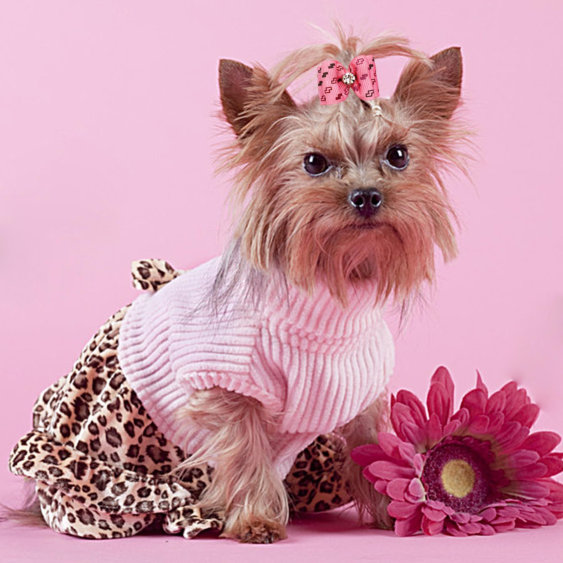 Pet Show Mixed Styles Pet Cat Puppy Topknot Small Dog Hair Bows With Rubber Bands Grooming Accessories Pink Pack Of 20