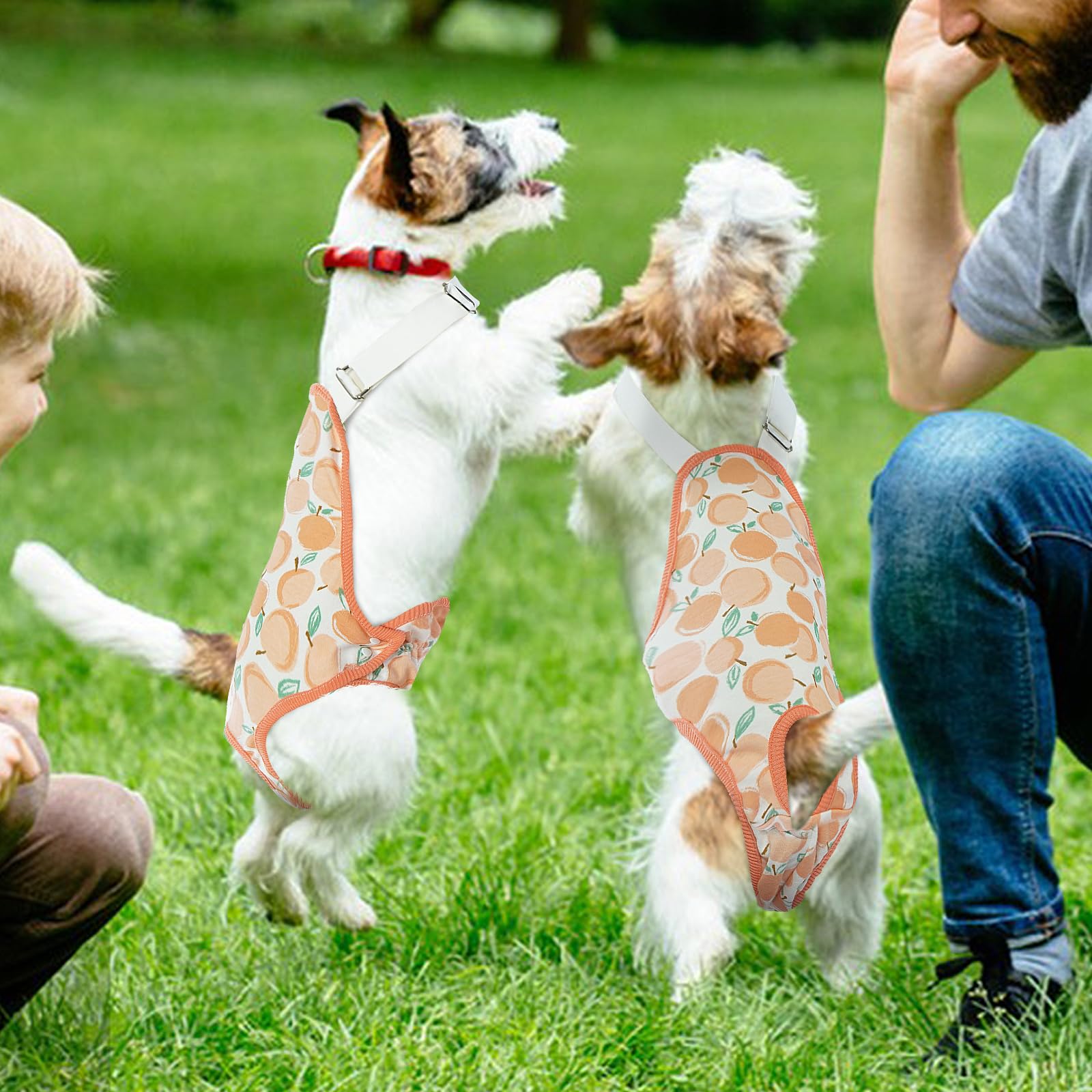 Qbleev Dog Diapers Female Washable Sanitary Pantie With Adjustable Suspender, Reusable Doggie Diapers For Male Girl Dogs In Heat