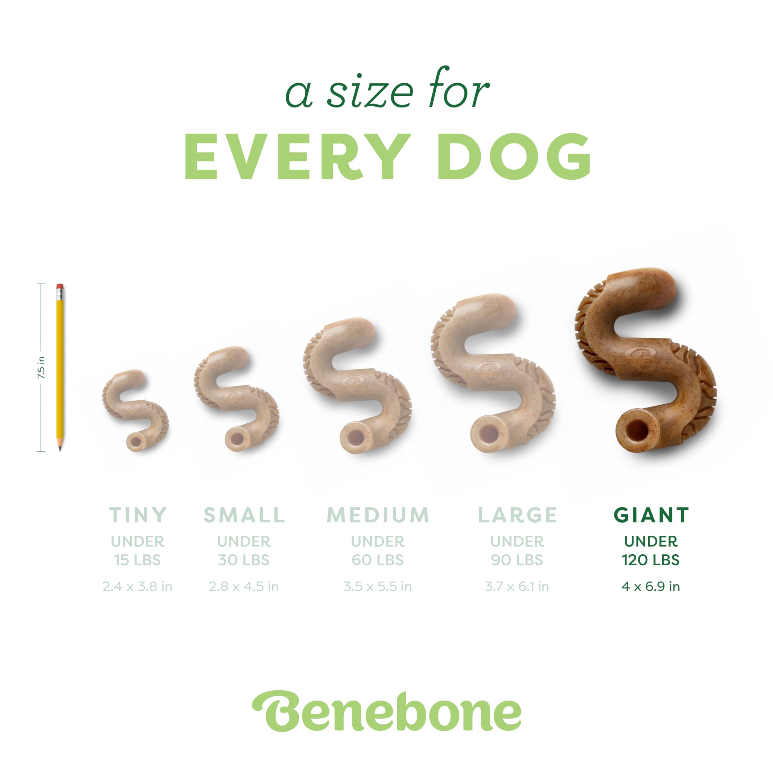 Benebone Tripe Bone Durable Dog Chew Toy For Aggressive Chewers, Real Tripe, Made In Usa, Giant