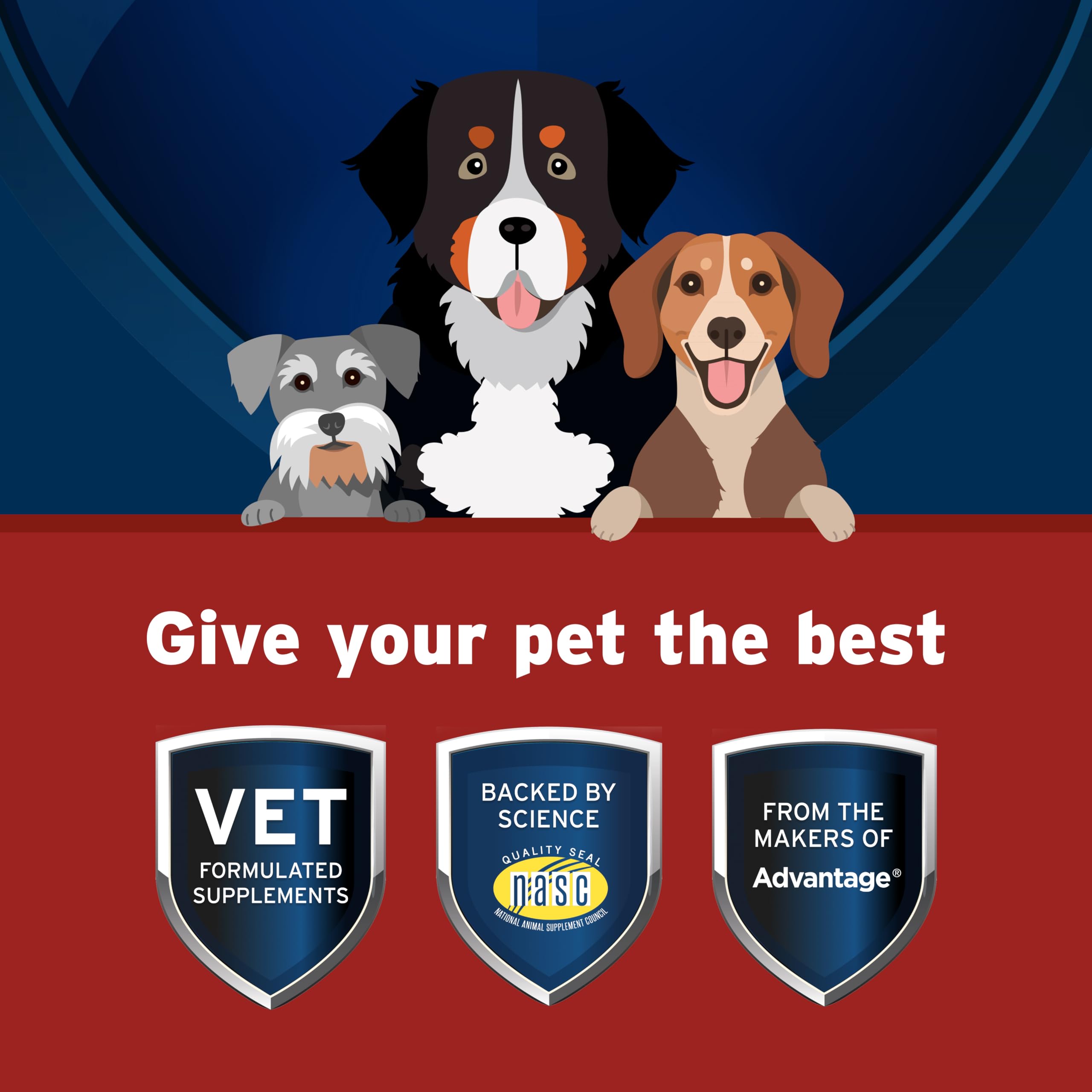Pet Protect Dog Hip & Joint+ Supplement for Active & Aging Dogs, Vet-Formulated Synovi G4, Dog Glucosamine, Chicken-Flavored Sof