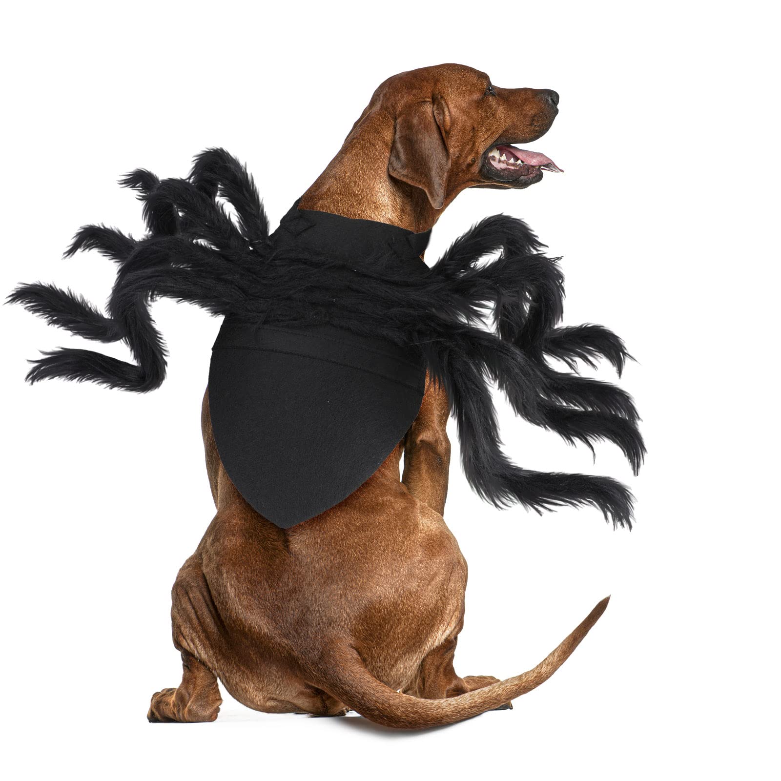 Rypet Pet Spider Costume - Halloween Spider Costume For Cats And Small To Medium Dogs Halloween Party Dress Up Festival Decorati