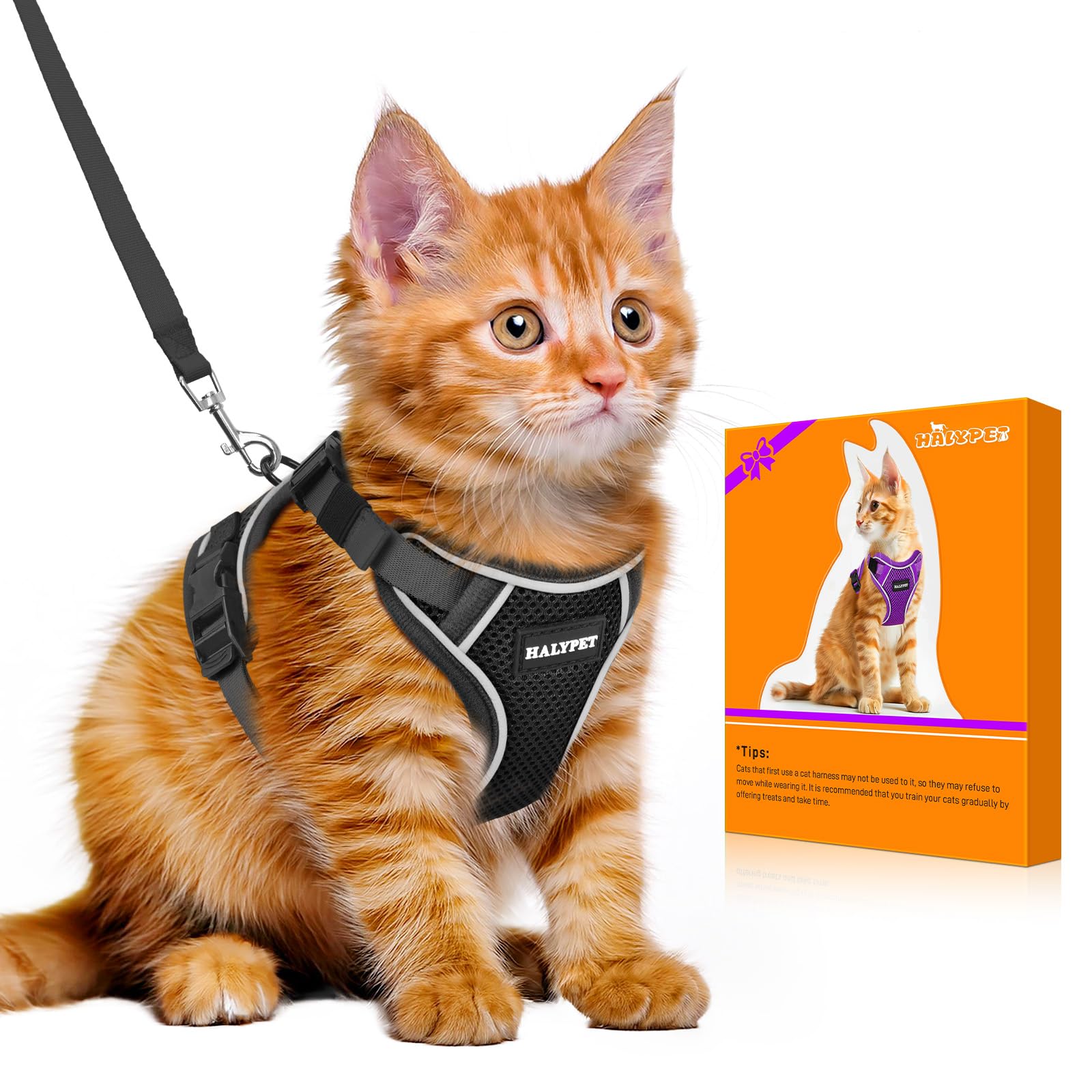 Halypet Cat Harness And Leash Set - Max Safety 4Th-Gen Upgrade, Escape Proof, Adjustable, Comfortable Soft Vest, Easy To Wear Ki