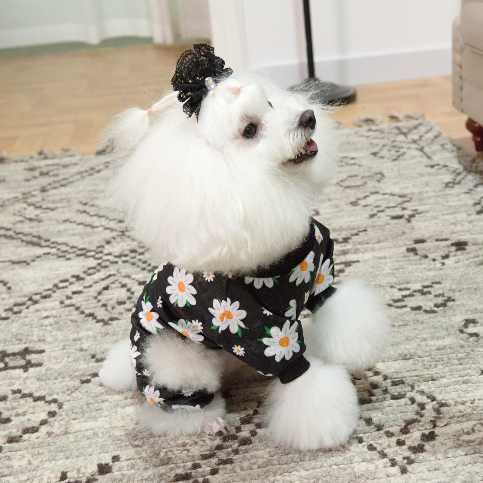 Cutebone Daisy Dog Pajamas Soft Puppy Pjs For Small Dogs P221L