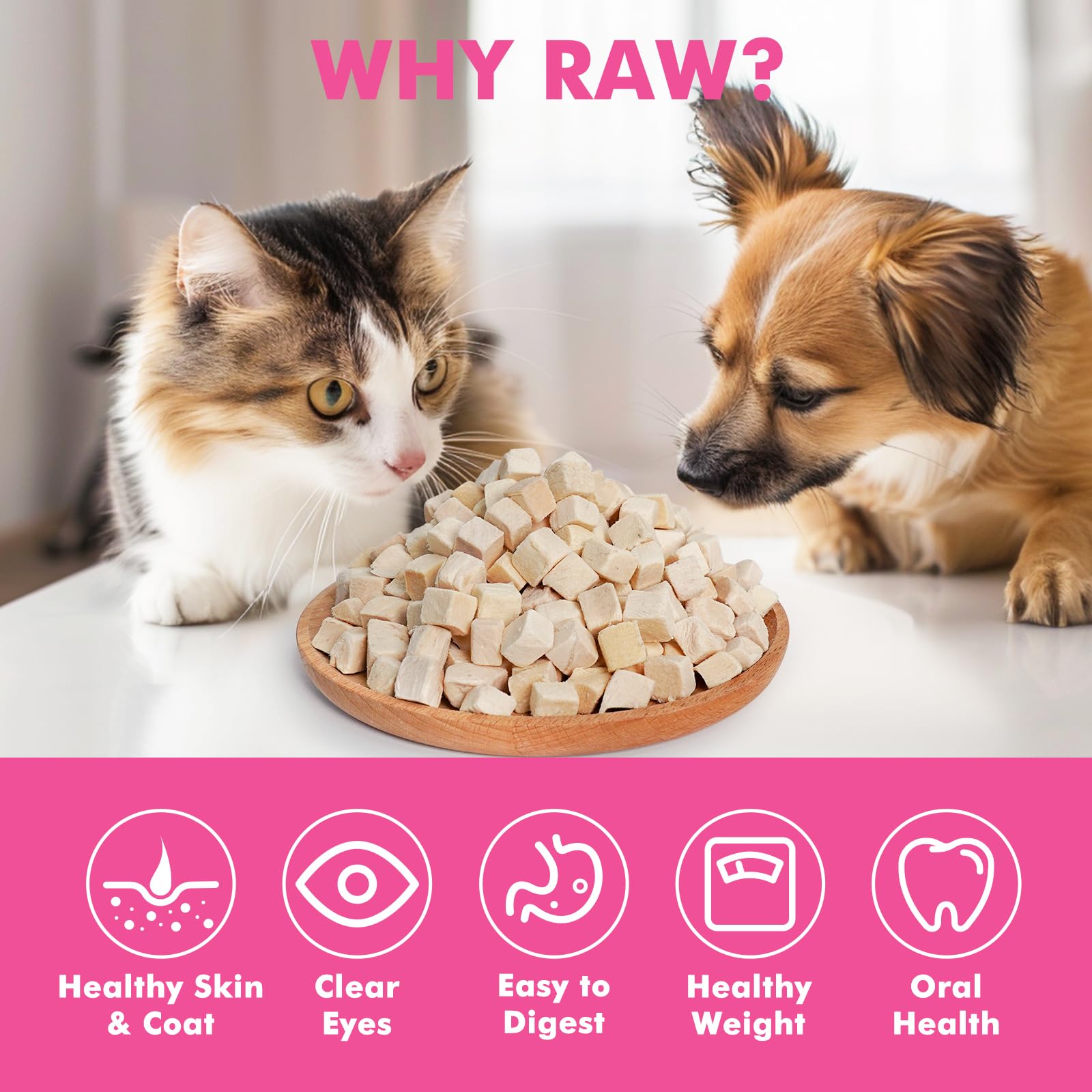 Puddonio Freeze Dried Cats & Dogs Raw Treats, All Natural Single Ingredient Chicken Breast, High Protein Healthy Pet Training Tr