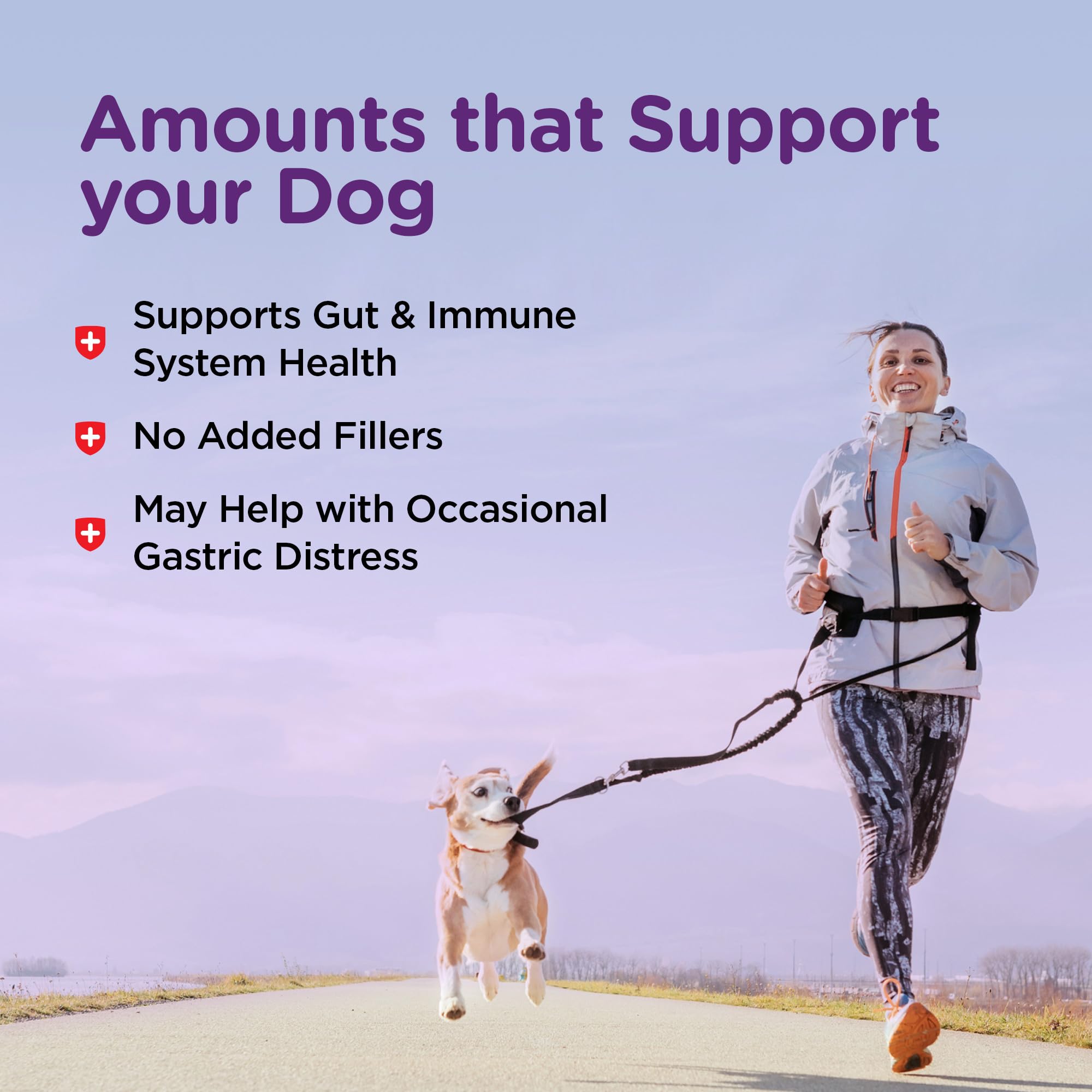 Nutri-Vet Pre and Probiotic Soft Chews for Dogs | Digestive Health Support | Tasty Alternative to Probiotic Powder | 120 Soft Ch