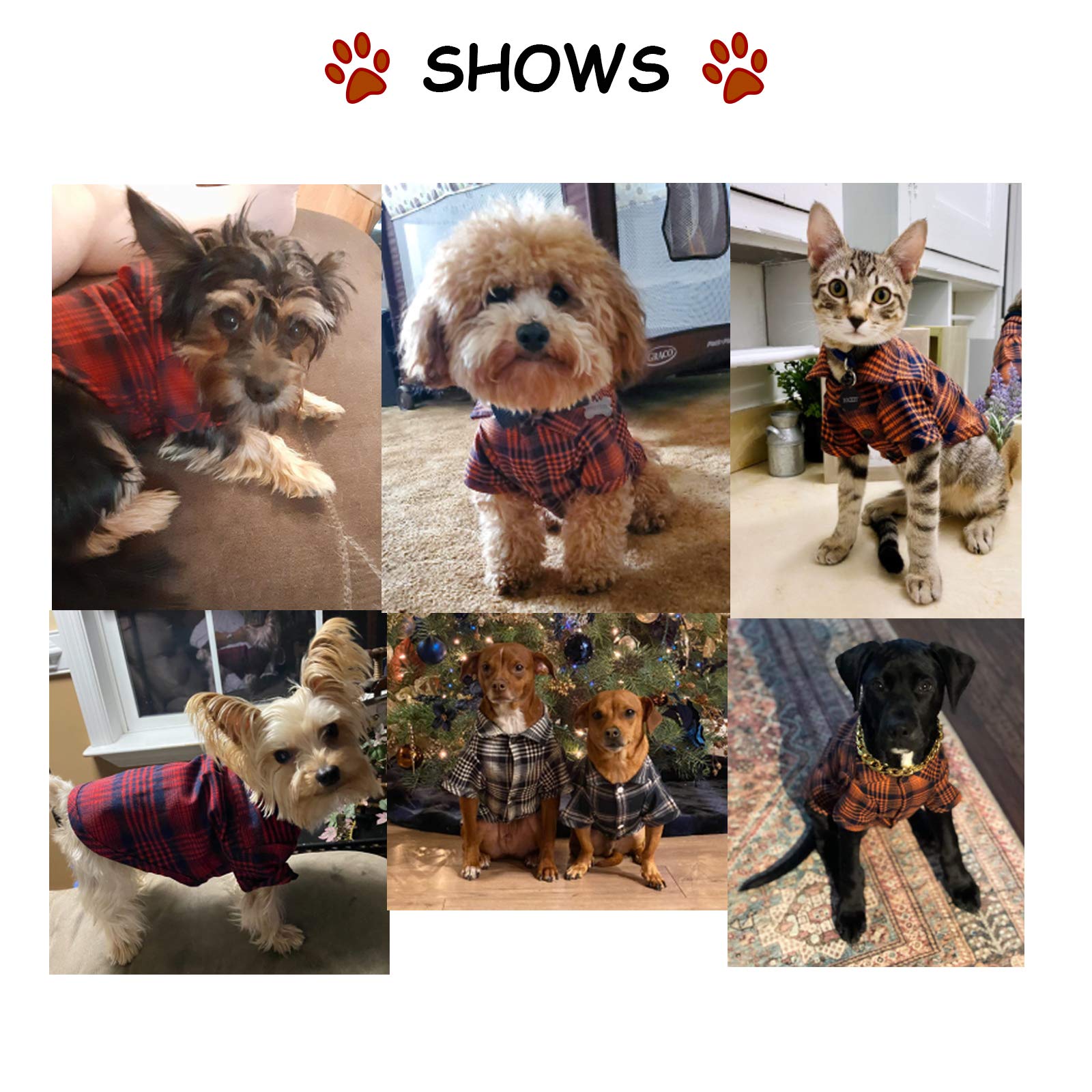 Ctilfelix Dog Shirt Plaid For Small Dogs Cats Puppy Boy Girl Dog Clothes Soft Pet T-Shirt Breathable Cat Shirt Clothes Tee Adorable Halloween Thanksgiving [Blue#2; Xs]