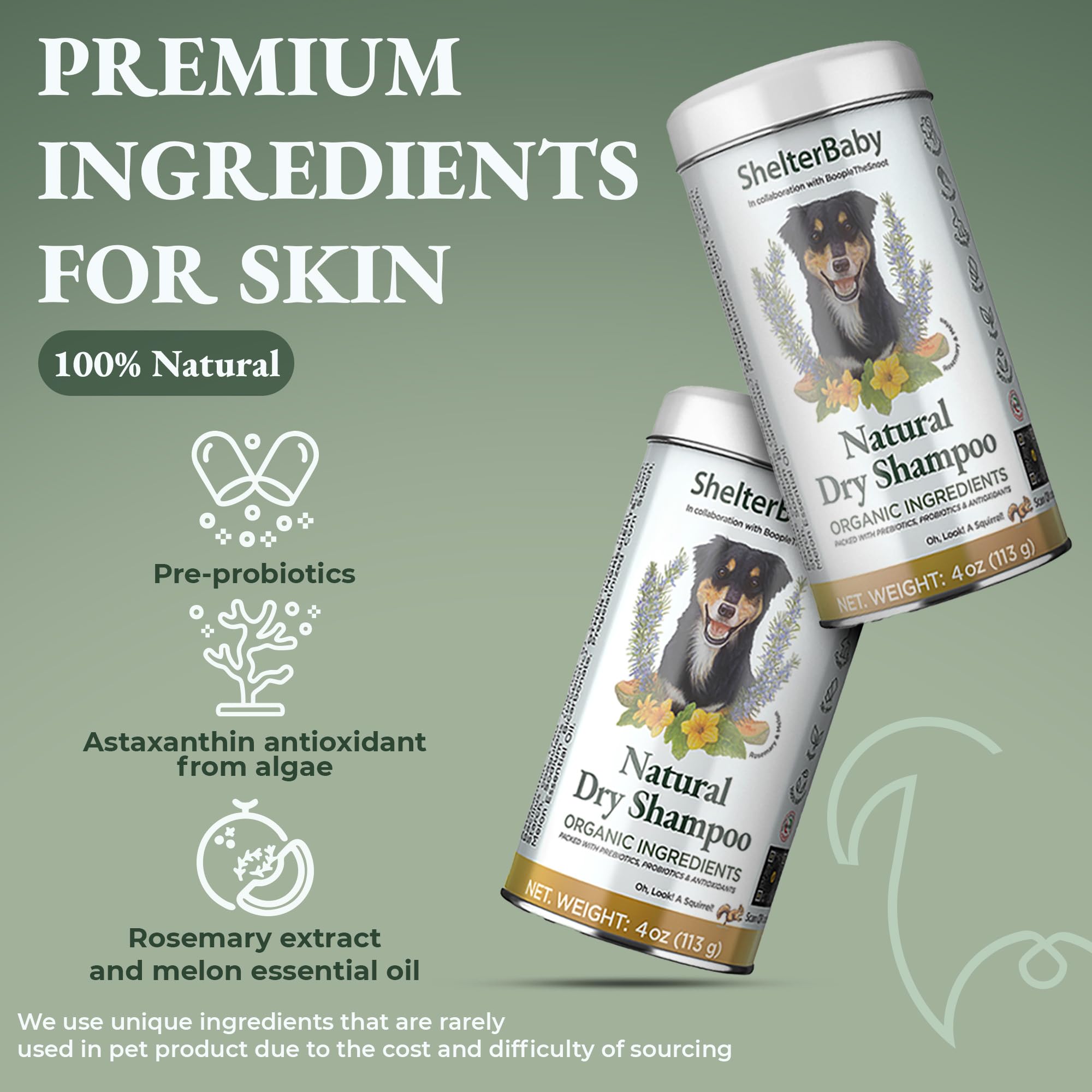 Dry Shampoo For Dogs - Itchy Skin & Hot Spot Relief, Yeast Infection & Paw Licking Treatment, Antifungal Dog Powder With Allergy
