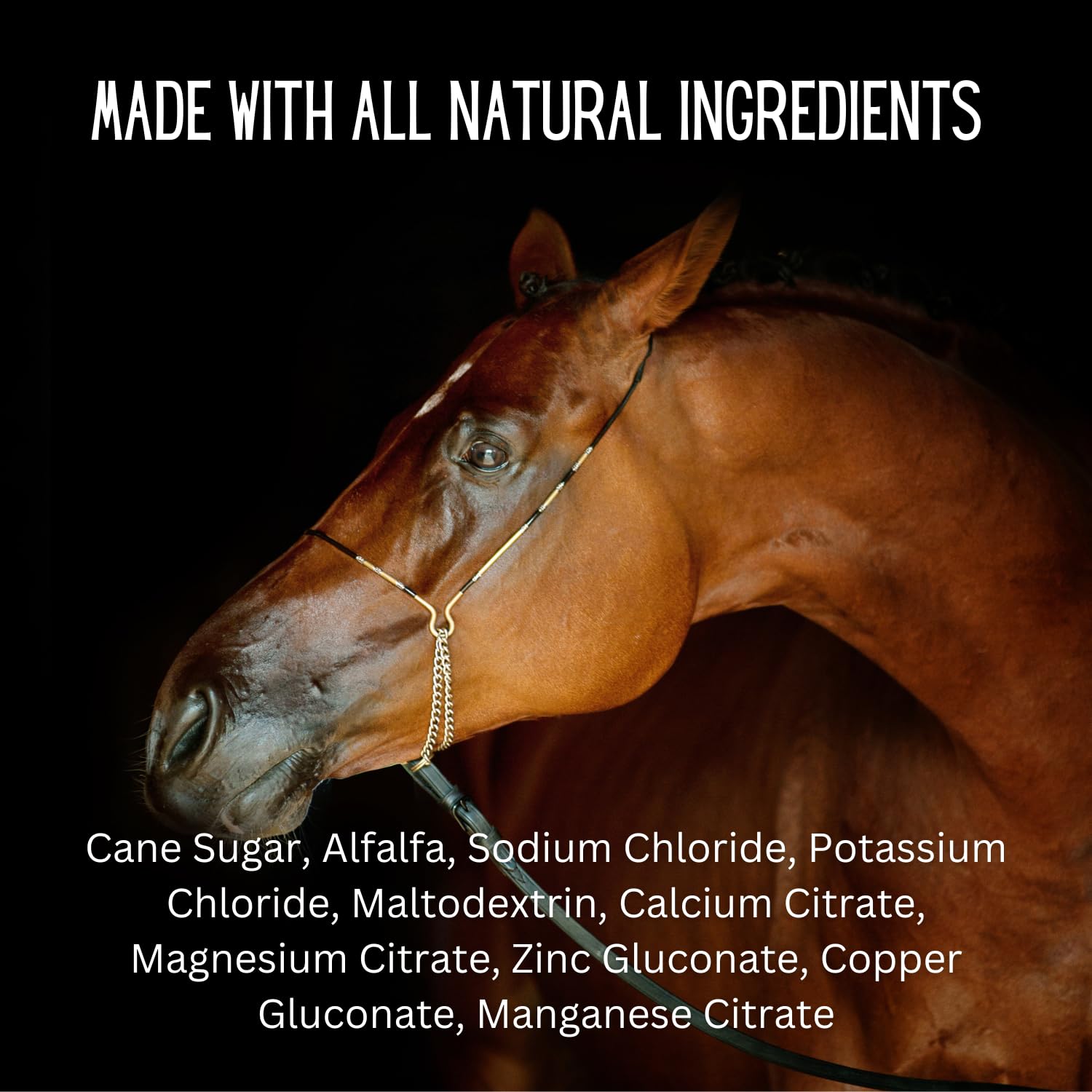 Gallaghers Water 120 Pack All-Natural Patented Equine Hydration Treat - Enhancement Powder Mix Horse Drink Treat to Help Encour
