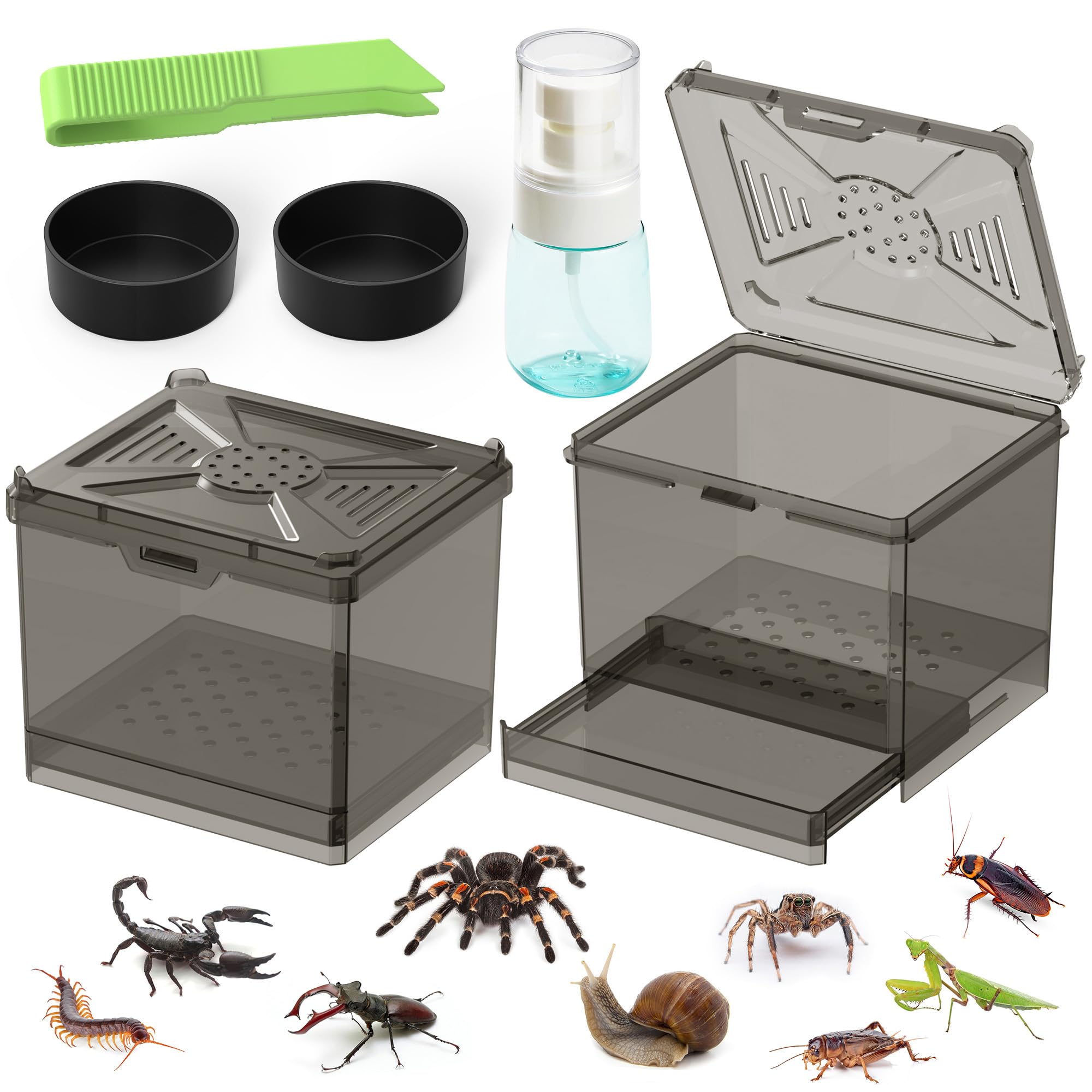 Spider Habitat Kit - Ready-to-Use Box for Small Insects,Dubia Roach, Cockroaches, Crickets, Scorpions, Centipedes, Mantises & Sn