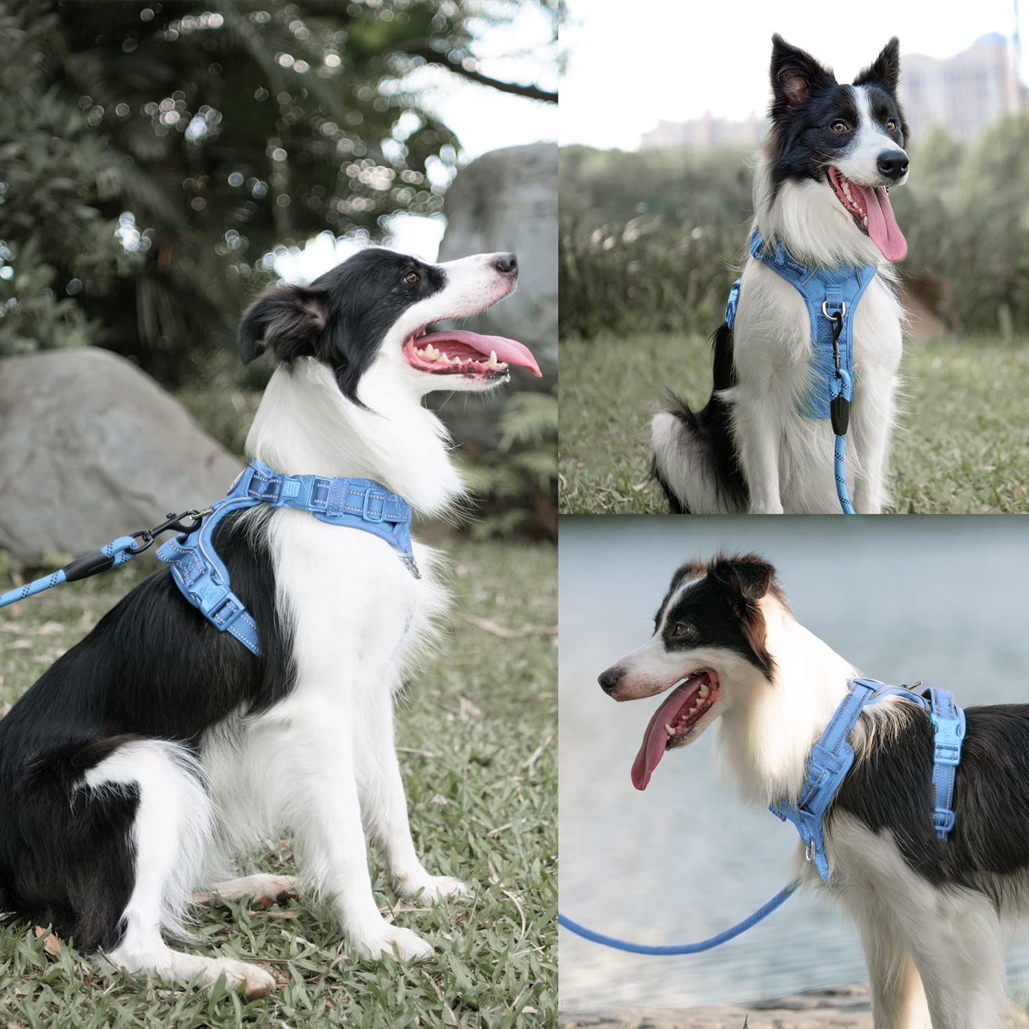 Poypet No Pull Dog Harness And 5 Feet Leash Set, Release On Neck Reflective Adjustable Pet Vest, Front & Back 2 D-Ring And Soft
