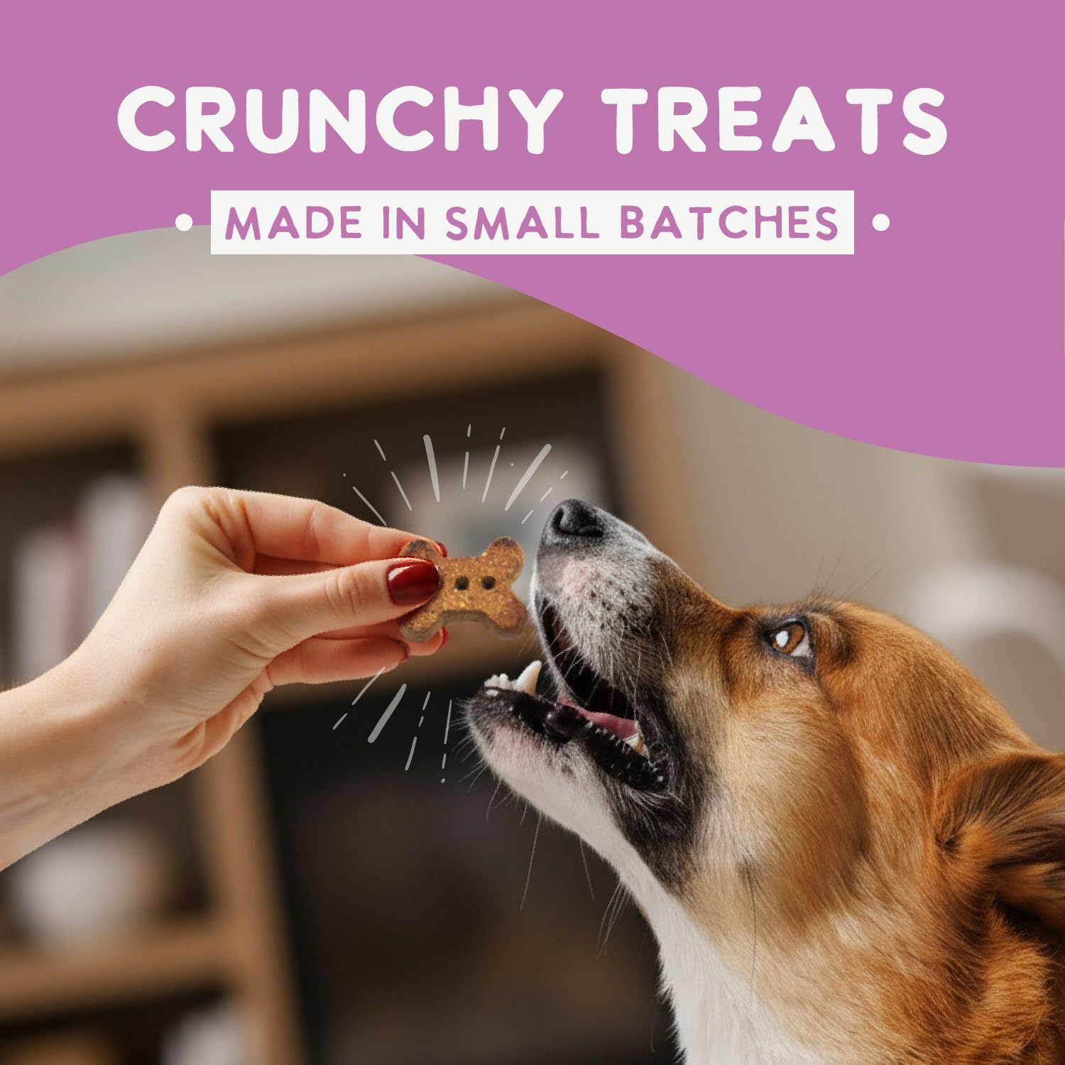 Health Extension Oven-Baked Dog Treats, 2.25lb (1.02kg), Salmon & Kale Recipe - Gluten & Grain-Free, Superfood-Infused, Crunchy