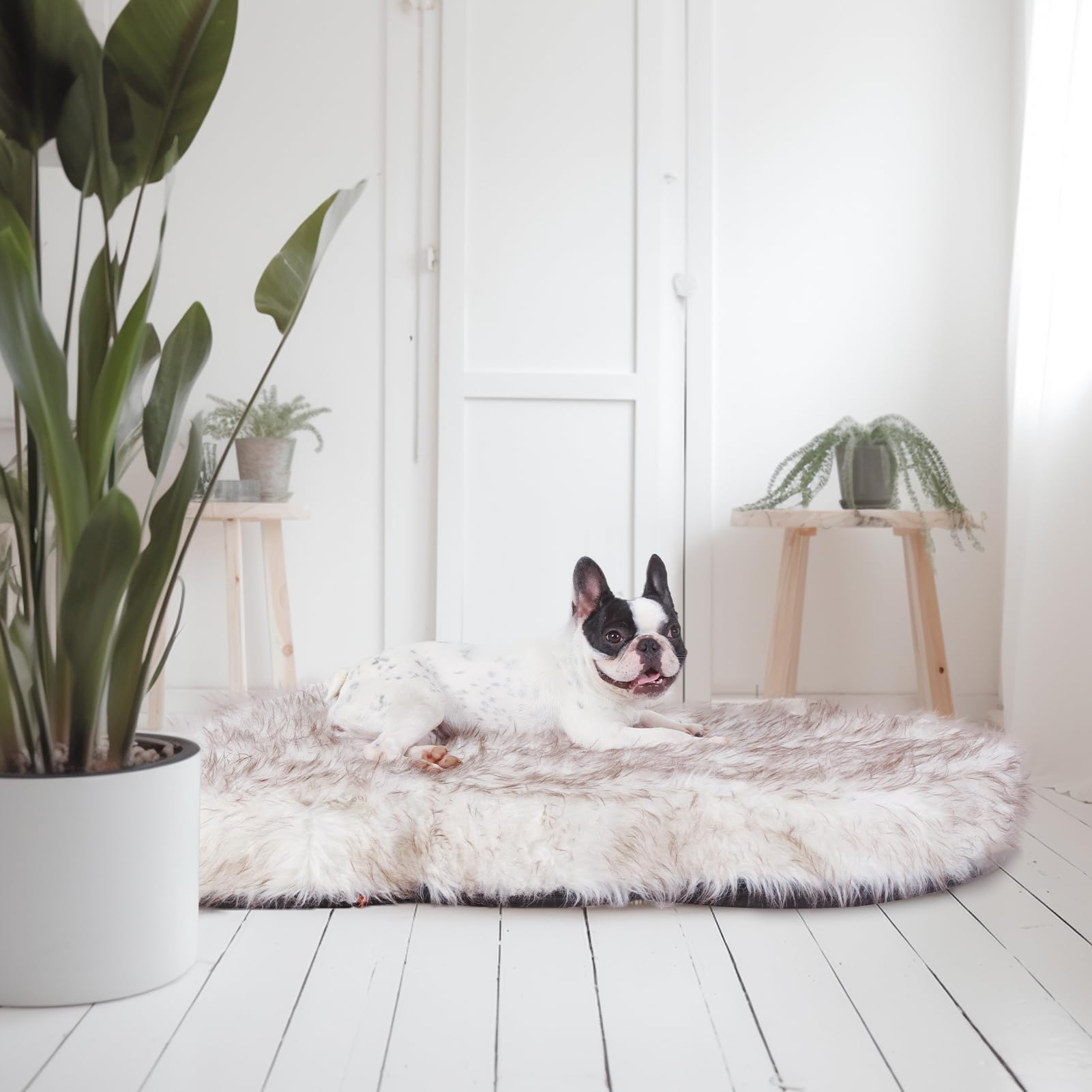 Laifug Luxury Faux Fur Dog Bed,5-Inch Thick Grade Ultra Soft Orthopedic Memory Foam Dog Bed With Faux Fur Cover, Plush Pup Rug W