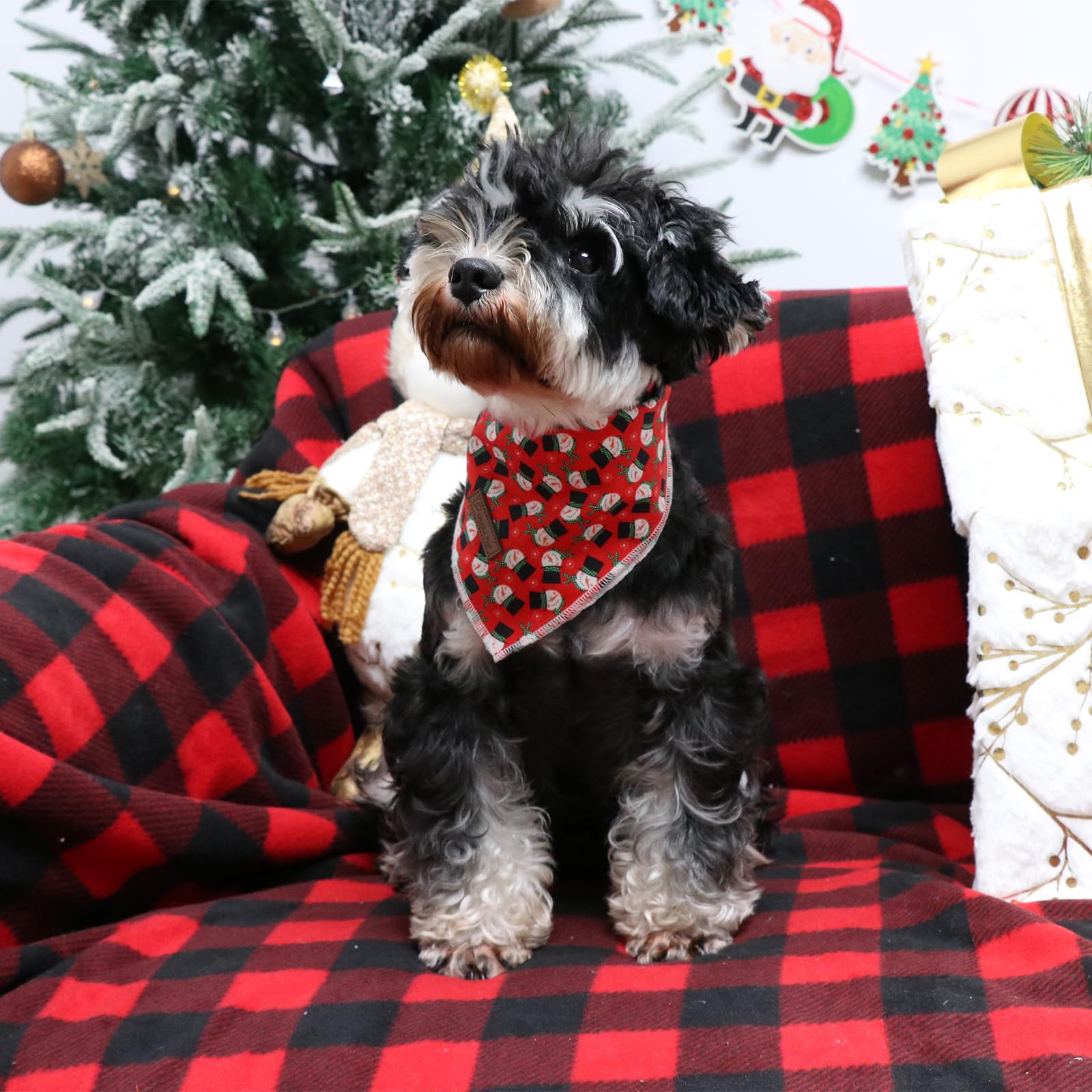 Up Urara Pup Triangle Bandana - Comfortable Cotton Dog & Cat Kerchief, Washable Tie Dye Scarf For Small Puppies & Dogs
