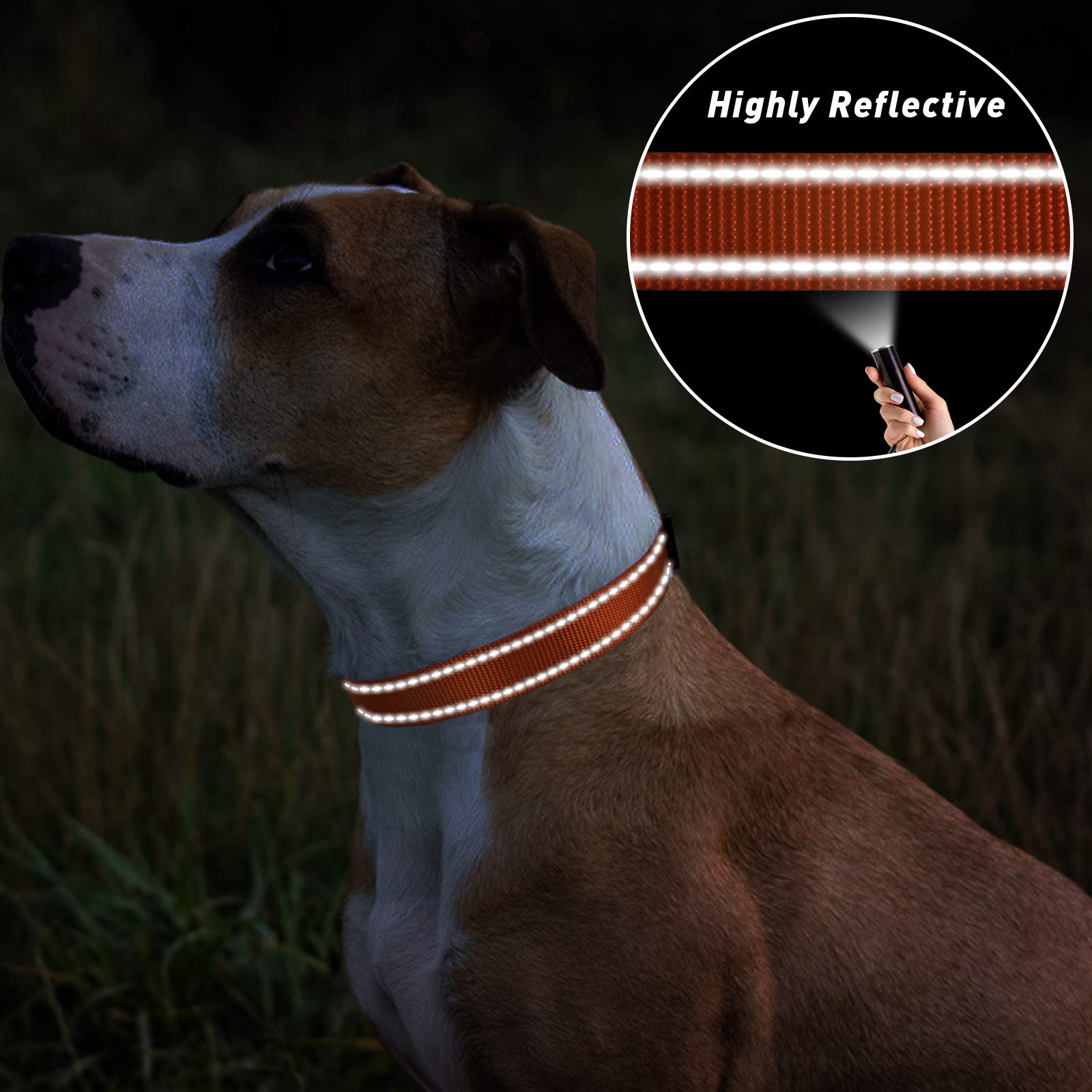 Tagme Reflective Nylon Dog Collars, Adjustable Classic Dog Collar With Quick Release Buckle For Small Dogs, Orange, 3/4' Width