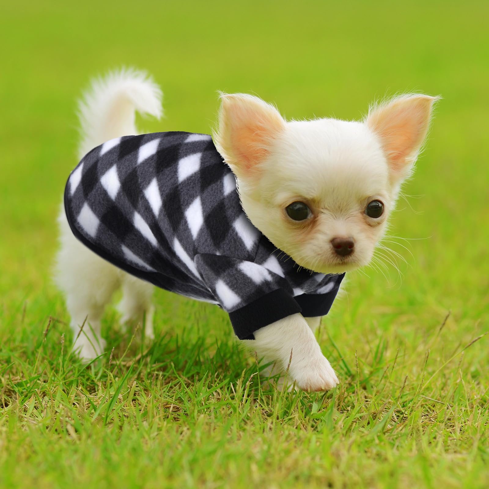 Weewooday 8 Pieces Dog Sweaters Winter Chihuahua Clothes Outfits Puppy Sweater Dog Warm Shirt Puppy Clothes For Winter Colorful