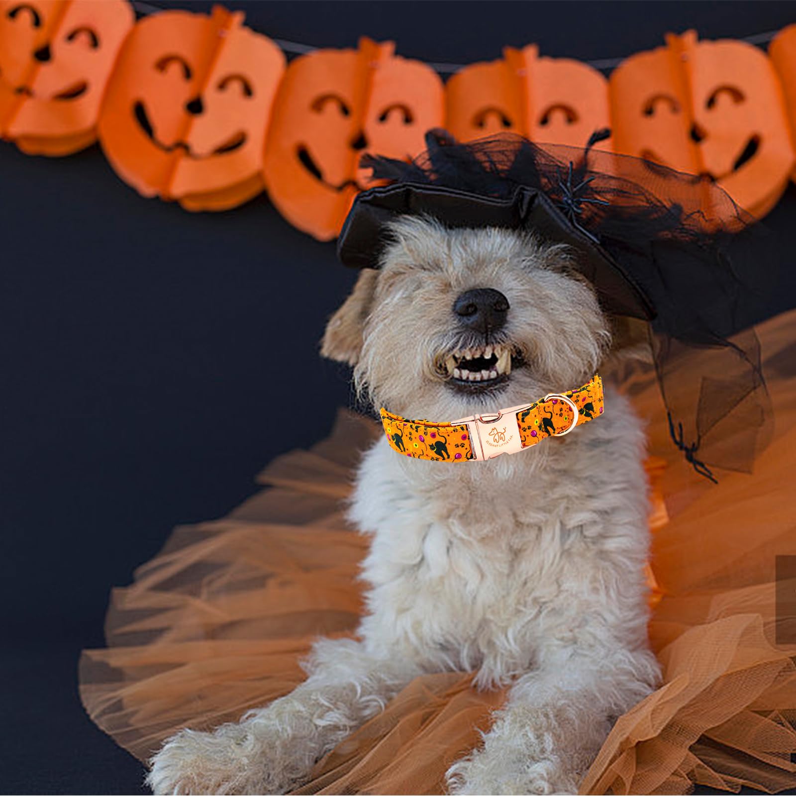 Elegant Little Tail Halloween Cat Print Cotton Dog Collar - Adjustable, Metal Buckle, X-Small Puppy