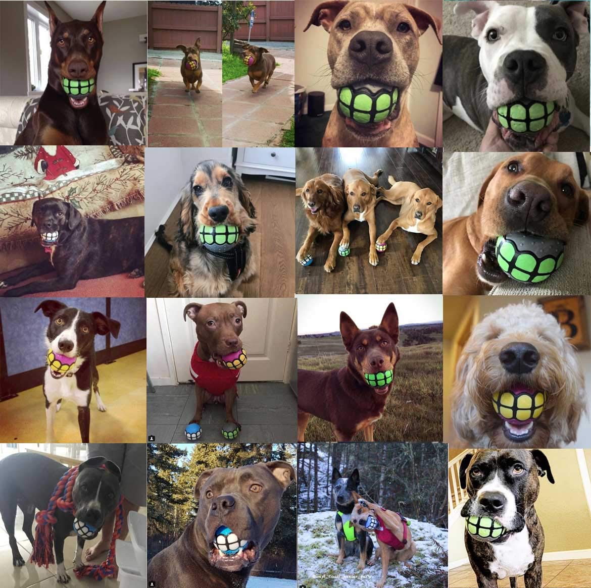 Dawg Grillz Dog Balls Toys Squeaky Fetch - Rubber Funny Ball Gifts For Large Medium Dogs (Variety Pack)