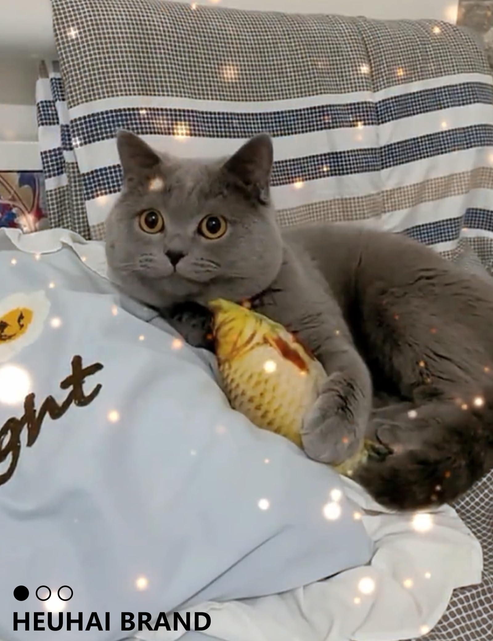 Heuhai 19 Pcs Cat Toys Variety Pack For Indoor Cats And Kittens, Fuzzy Balls, Jingle Bells, Wind-Up Chick, Catnip Fish, And More