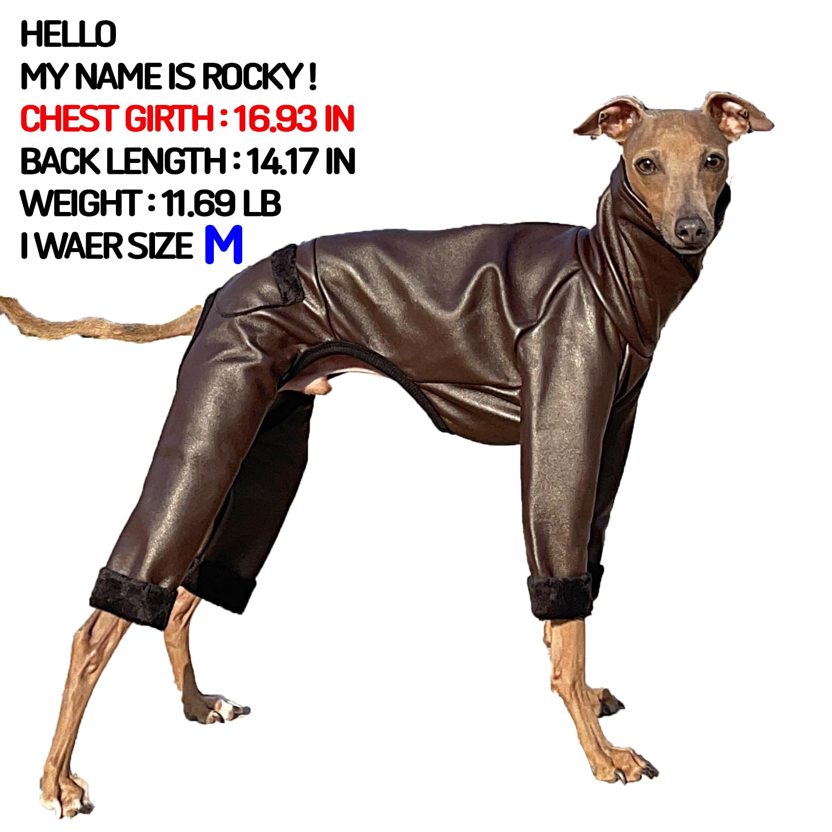 D Doggy Star Italian Greyhound Coat Stretchable Aartificial Leather Fleece Lining Clothes Whippet For Dog (S,Leather Brown)