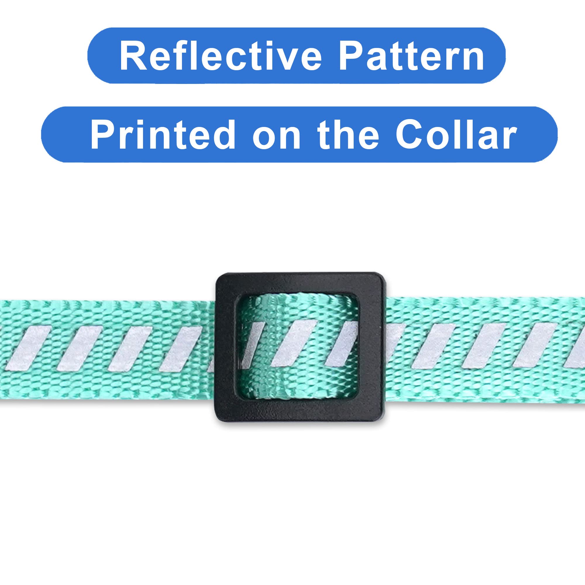 Pawtitas Personalized Cat Collar With Breakaway Safety Release Buckle Adjustable Length | Cat Collar With Custom Embroidered For Your Pet'S Name And Phone Number | Teal Cat Collar With Removable Bell