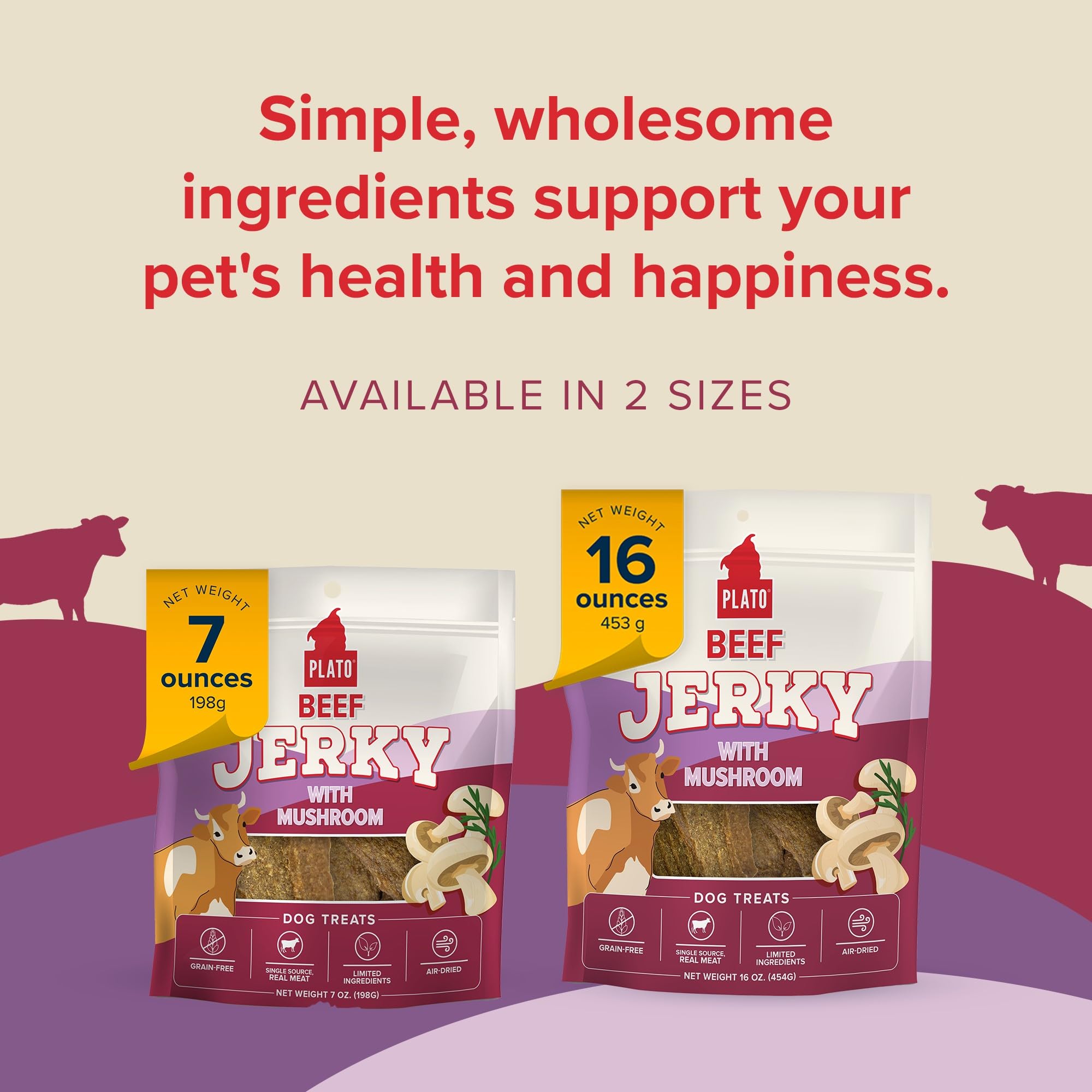 PLATO Jerky Dog Treats - Grain Free, High Protein Beef with Mushroom - 16oz