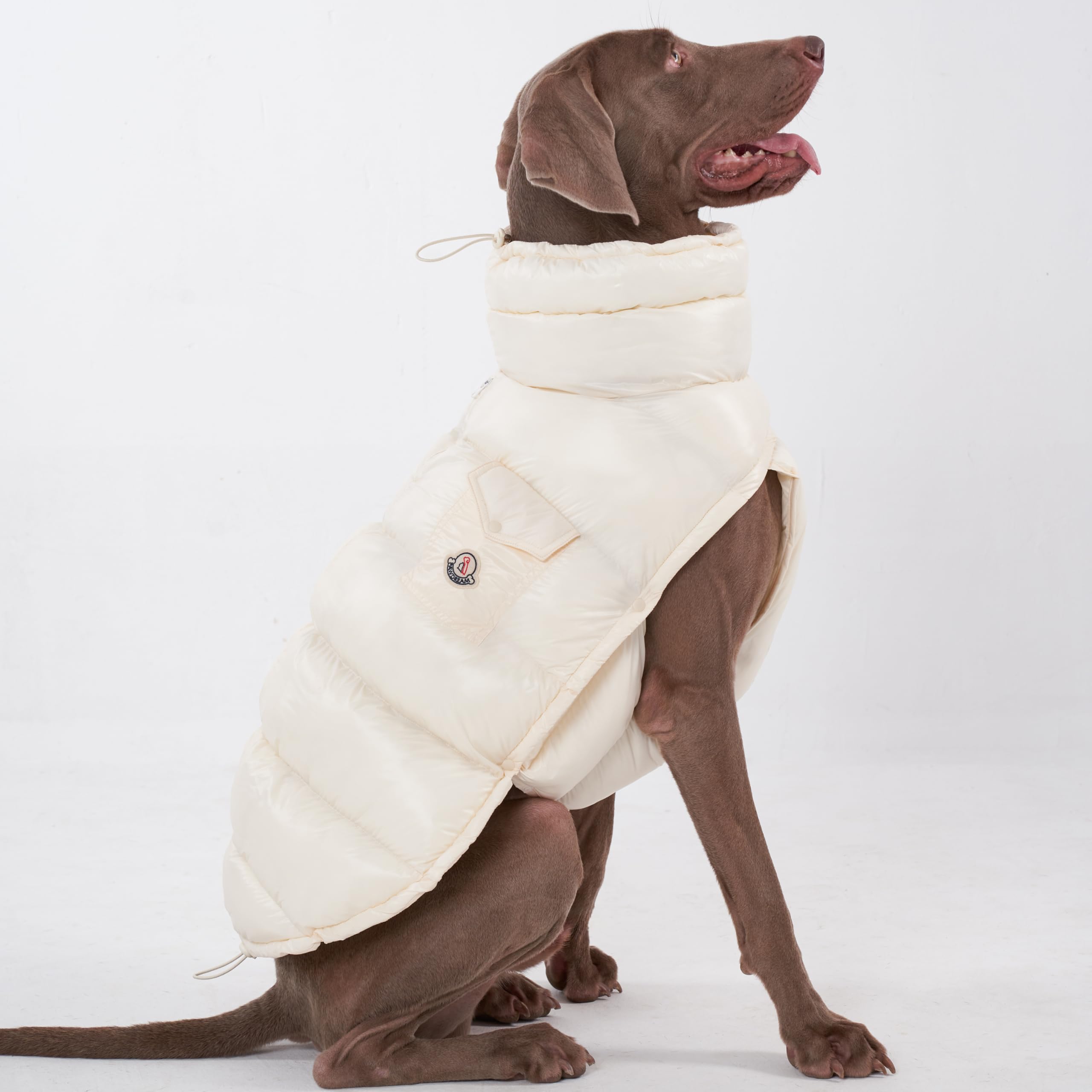 Chochocho Winter Dog Jacket, Cold Weather Coats, Lightweight, Thermal Insulated, Water-Resistant, Adjustable Dog Jackets With Le