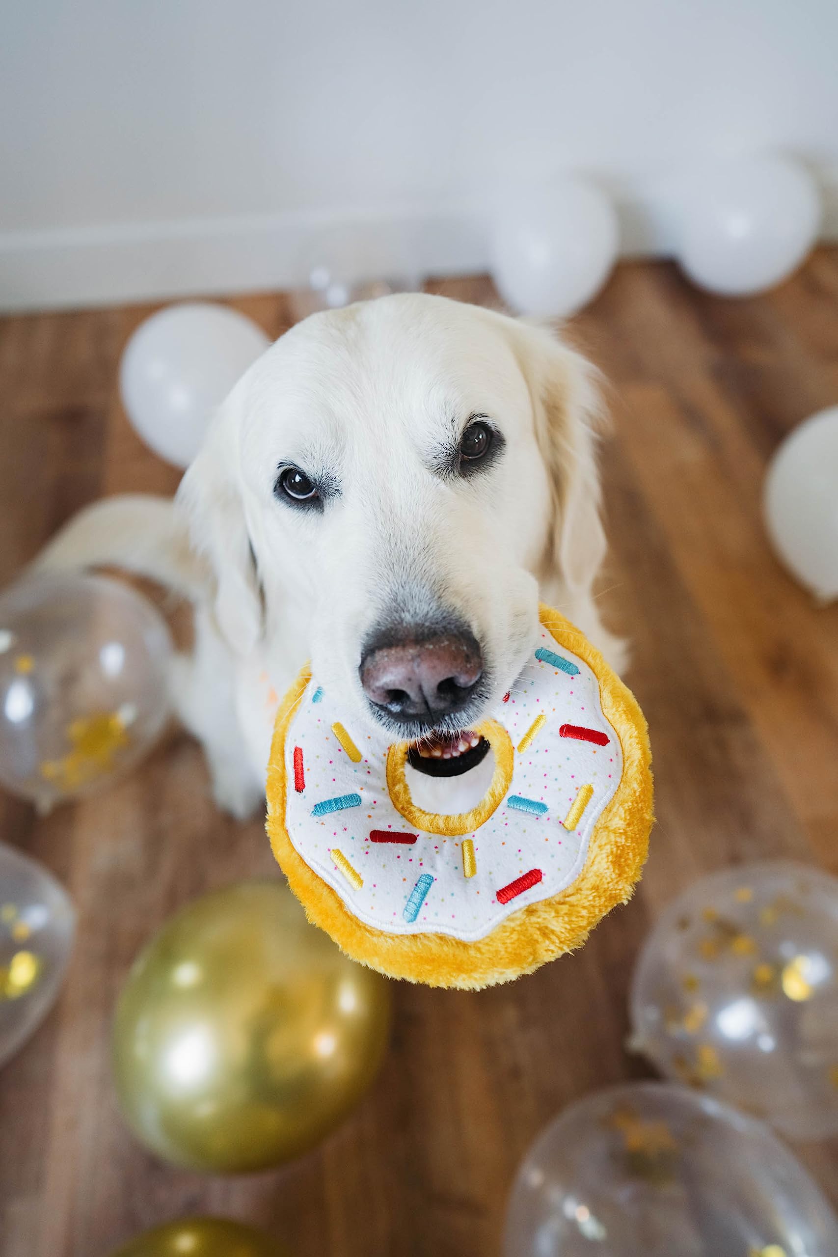 Zippypaws Birthday Gifts For Dogs - Birthday Donutz Plush Squeaky Toy With Polkadots & Sprinkles, Dog Birthday Party Supplies For Boys & Girls