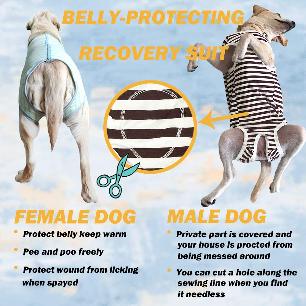 Dogs Recovery Suit Post Surgery Shirt For Female Male Dog, E-Collar Alternative Wound Protective Clothes (Grey Orange-4Xl)