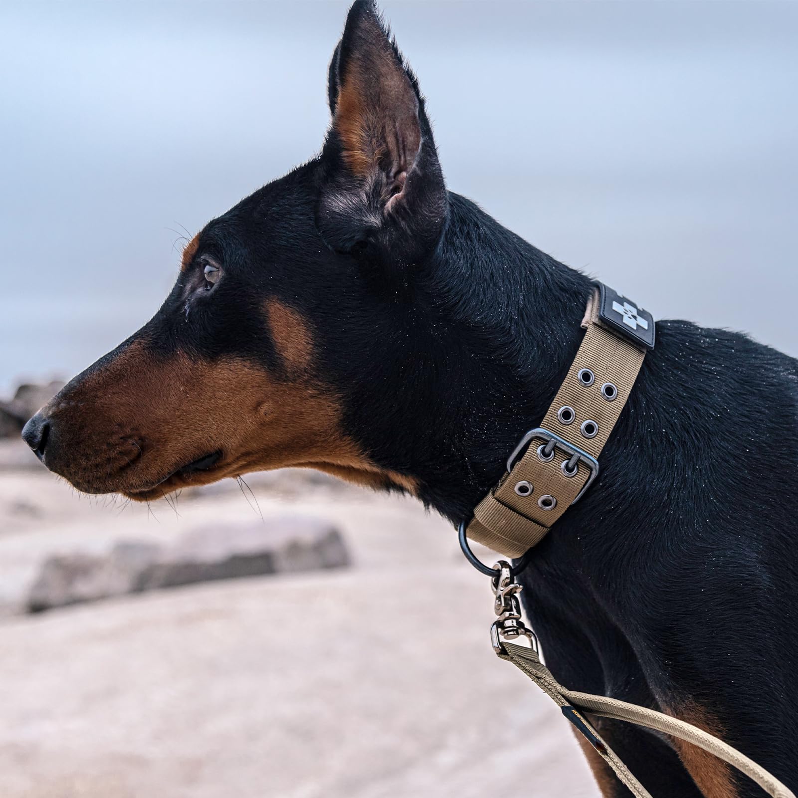 Excellent Elite Spanker 1.5' Width Military Dog Collar Adjustable Metal D Ring & Buckle Working Dog Collar For Medium Large Dogs(Black-Xl)