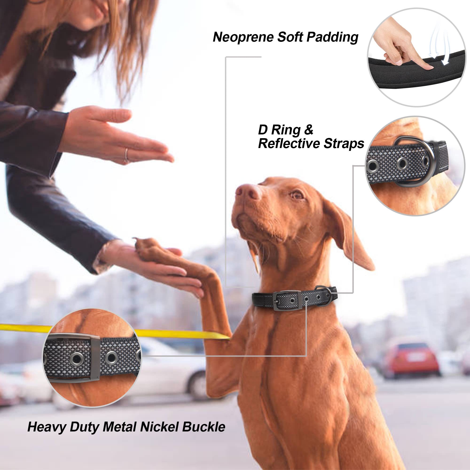 Petifine Neoprene Padded Dog Collar, Heavy Duty Comfort Dog Collar With Durable Metal Buckle, Reflective Adjustable Belt Buckle Dog Collars For Small Medium Large Dogs(11?14.5?Black)