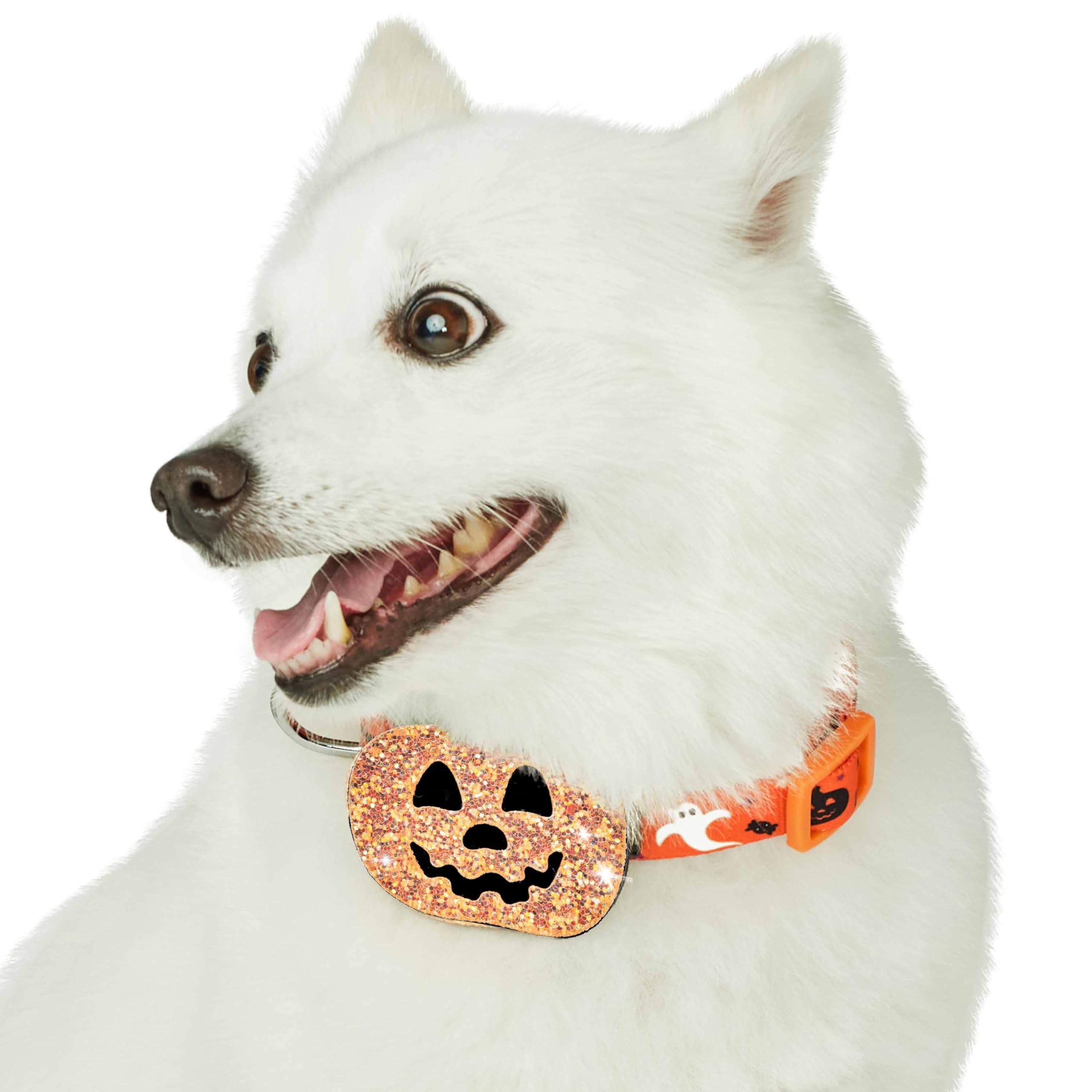 Blueberry Pet 2023 New Halloween Party Adjustable Dog Collar With Detachable Pumpkin Accessory, Small, Neck 12''-16''