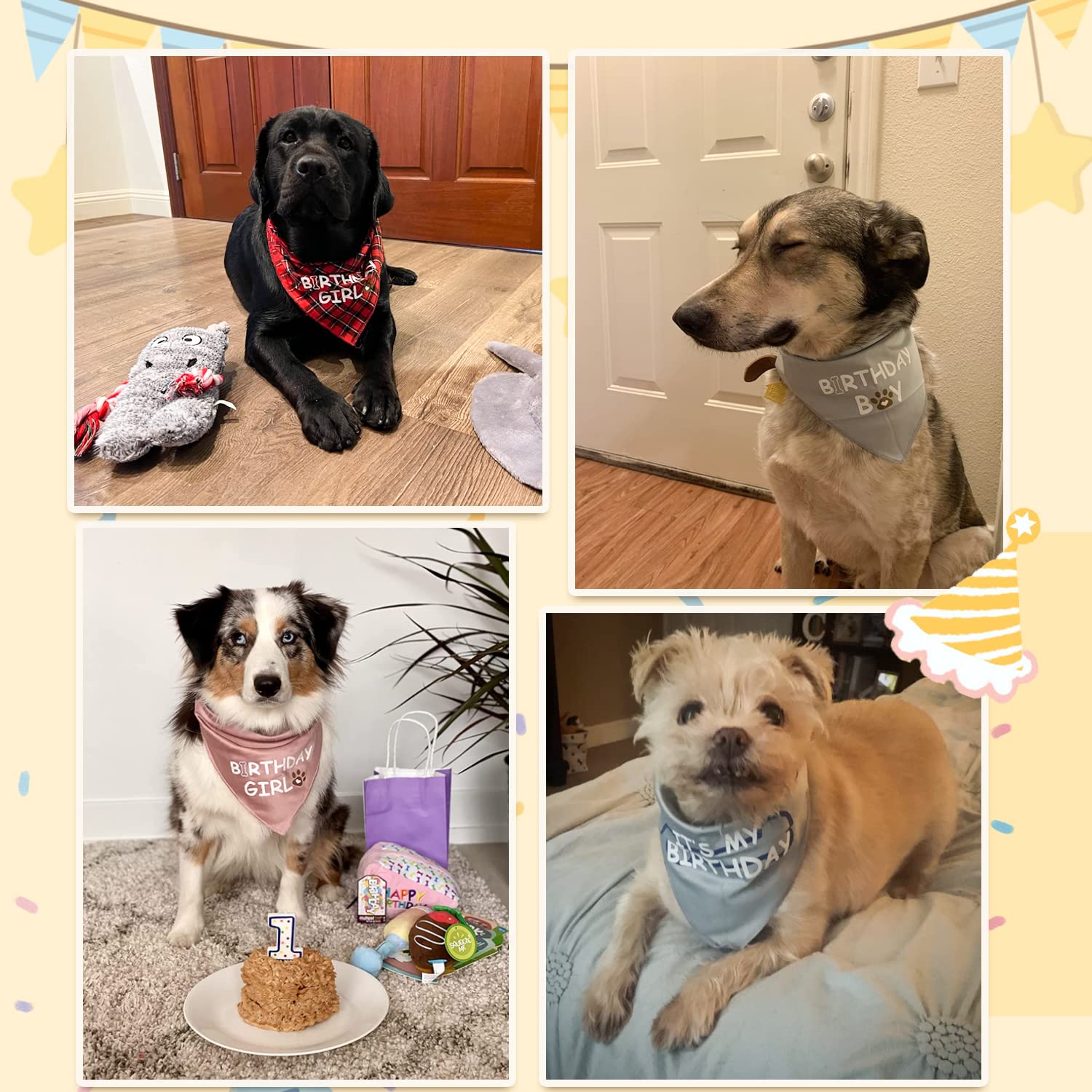 Petslove Birthday Bandana For Boys & Girls - Dog Supplies For Small, Medium & Large Pets