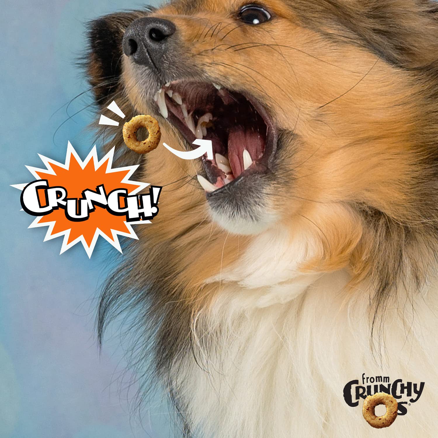 Fromm Crunchy Os Dog Treats, 6 oz. (Peanut Butter Jammers Flavor Treats)