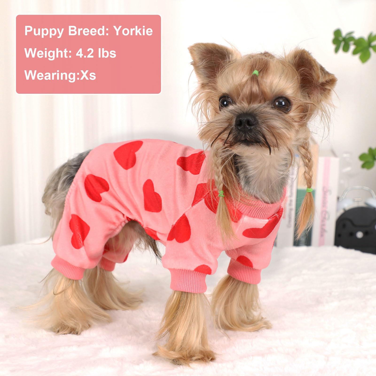 Dog Pajamas for Small Dogs Girl Boy Super Soft Puppy Clothes Fleece Puppy Pjs Jammies 4 Leg for Chihuahua Yorkie Winter Spring O