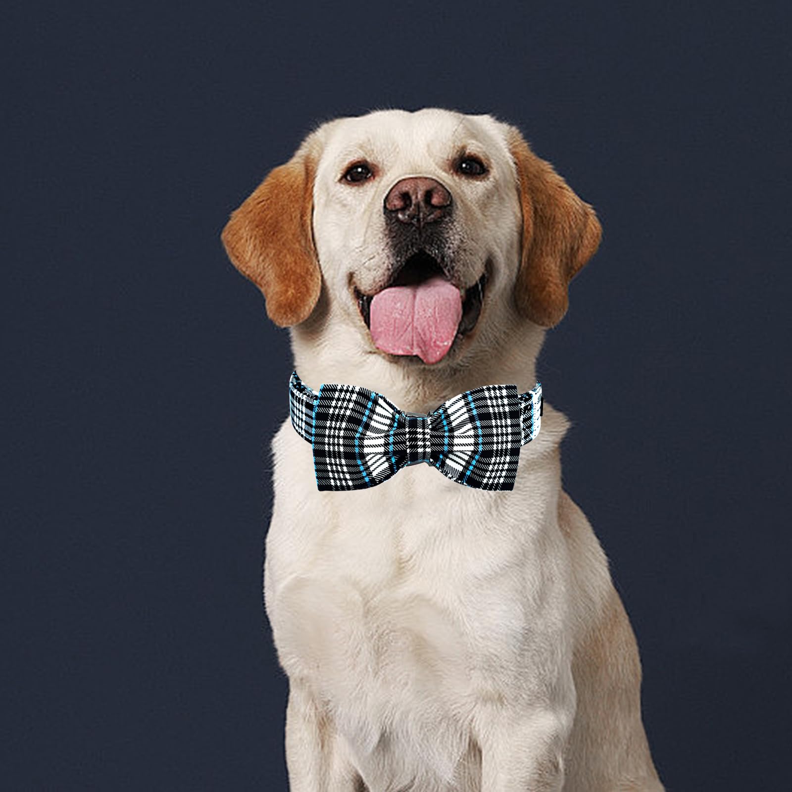 Lionheart Glory Dog Bow Collar Blue And Black Plaid Dog Collar For Medium Dogs,Boy Dog Collars With Bowtie Spring Summer Collars