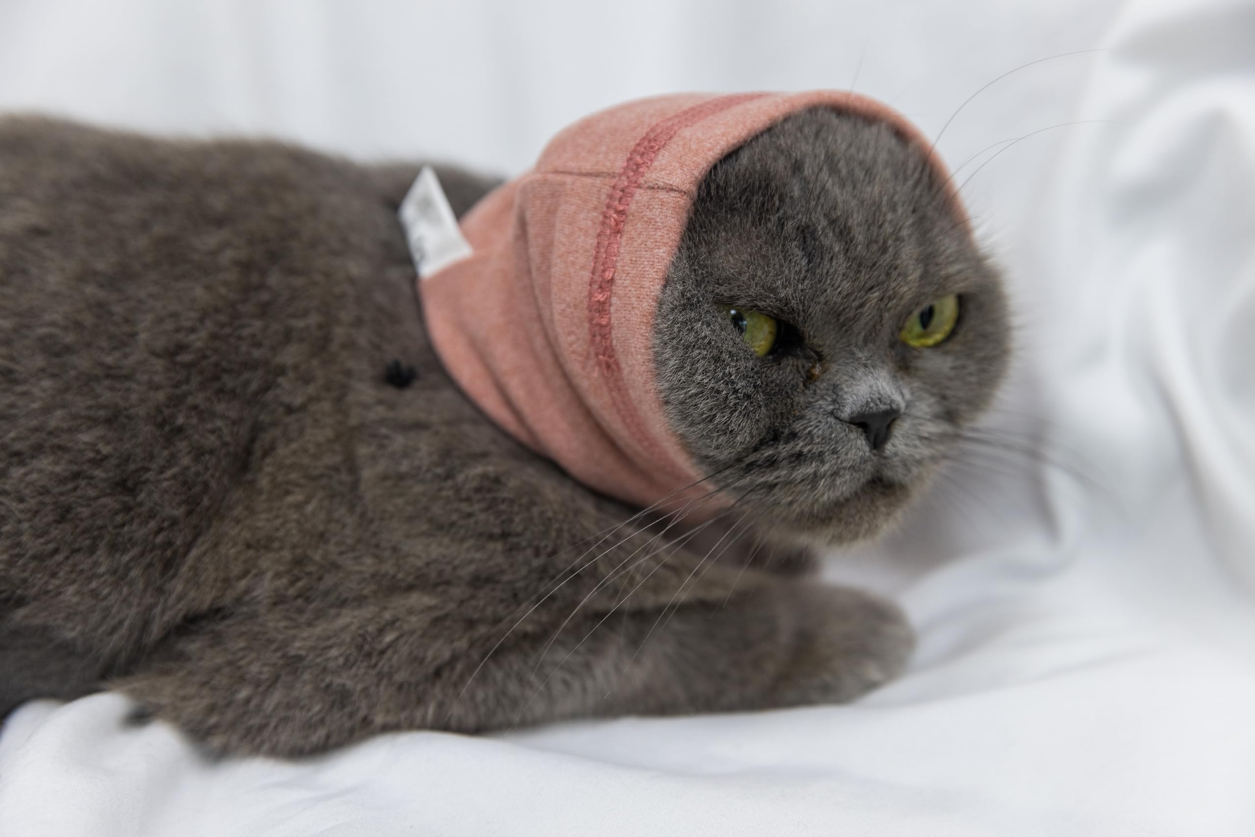 DDFS Cat Anxiety Quiet Ears Snood Head Wrap - Calming Noise Cancelling Cover for Cats - Pink S