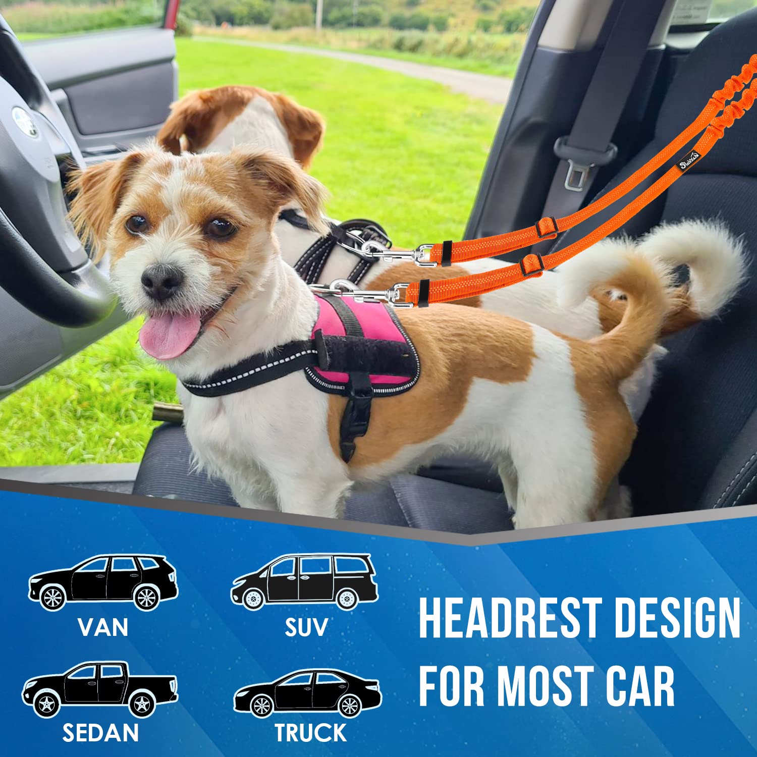 Lukovee Double Dog Seat Belt, New Dual Pet Car Headrest Restraint Safety Seatbelt No Tangle Dog Leash Duty Adjust Elastic Bungee Puppy Lead Splitter Connect Harness In Vehicle Travel For 2 Dogs (Or)