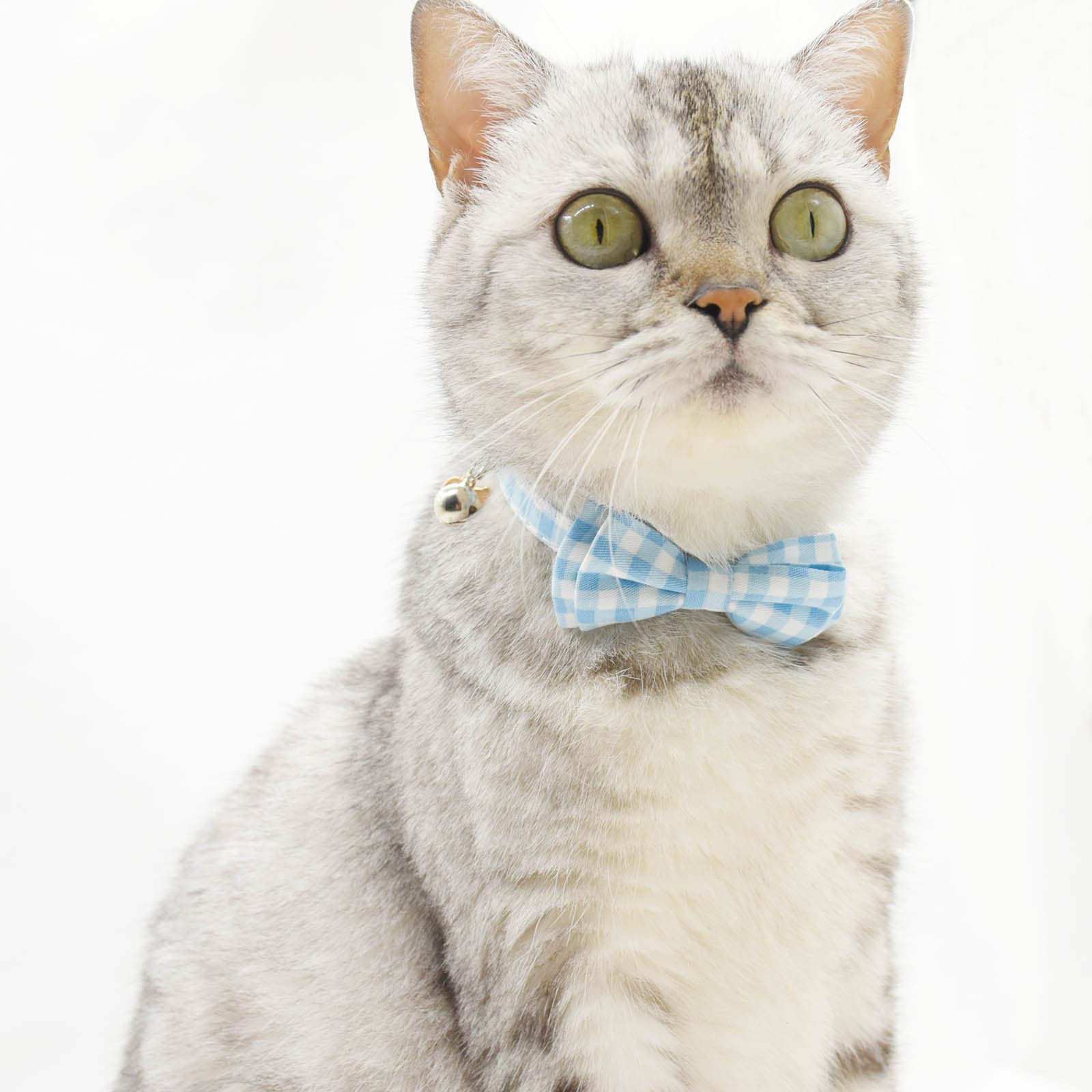 Bowtie Cat Collars Breakaway With Bell, Adjustable Cute Kitty Collars Safety Buckle Kitten Collar For Cat Puppy 7.5-11In (Light