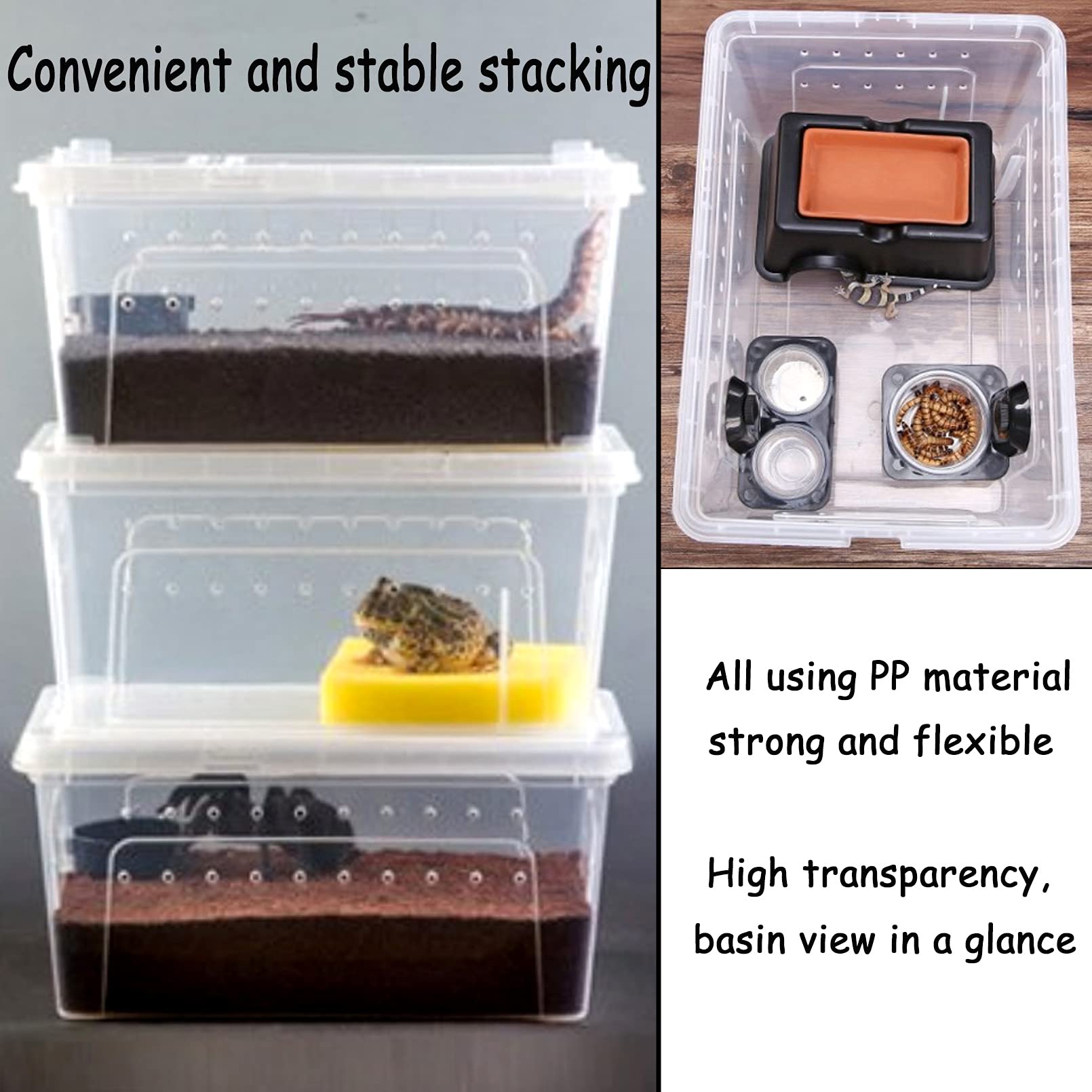 Hamiledyi 2Pcs Reptile Feeding Box Snake Breeding Box Transparent Animal Habitat Cage Portable Plastic Turtle Transport Container For Bearded Dragon Lizard Spider Frog Scorpion Gecko 12.6 X 8.6 X 5.9
