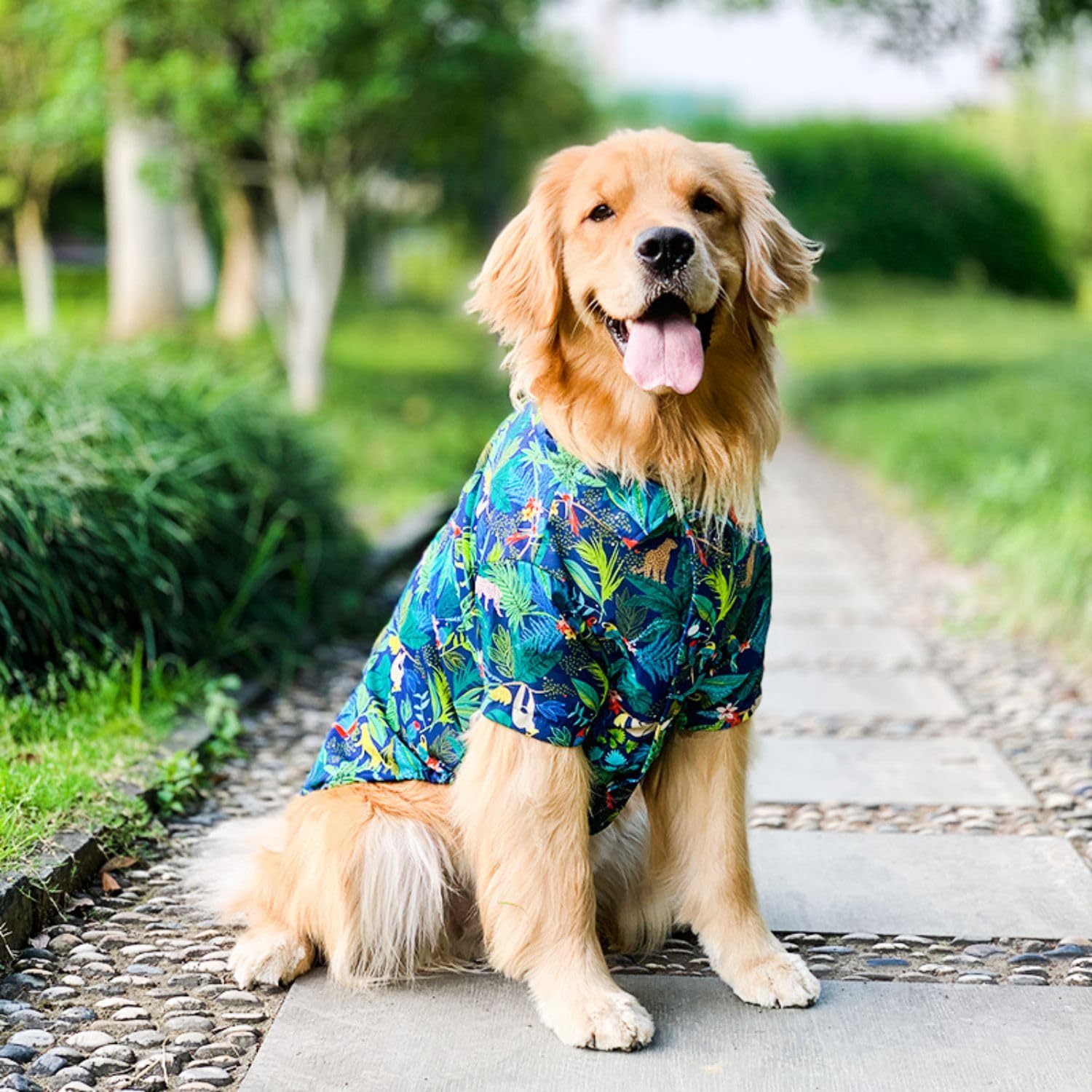 Harikaji Dog Hawaiian Shirt, Summer Pet Clothes Large Dog Cool Costume Beach T-Shirt For Medium Large Dog(Blue,5Xl)